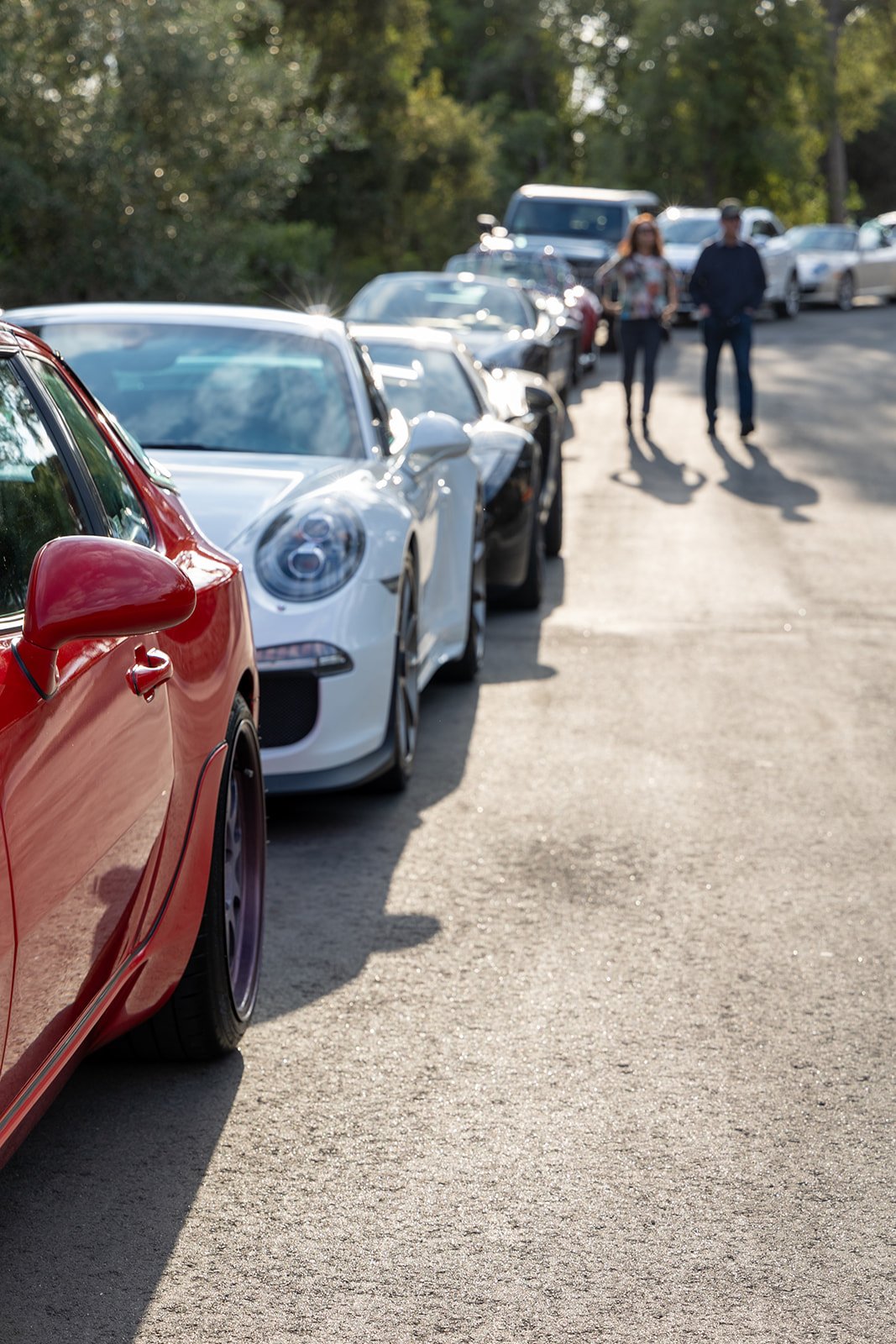 A row of parked cars on a paved road with two people walking in the background, surrounded by greenery and trees.