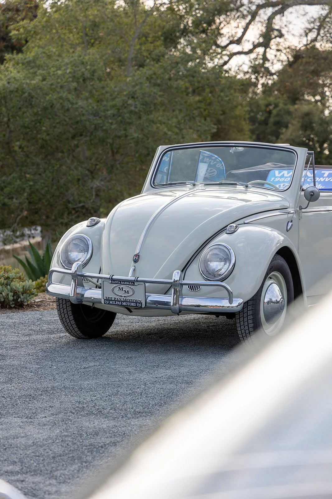 A vintage white Volkswagen Beetle convertible parked on a driveway with greenery in the background.