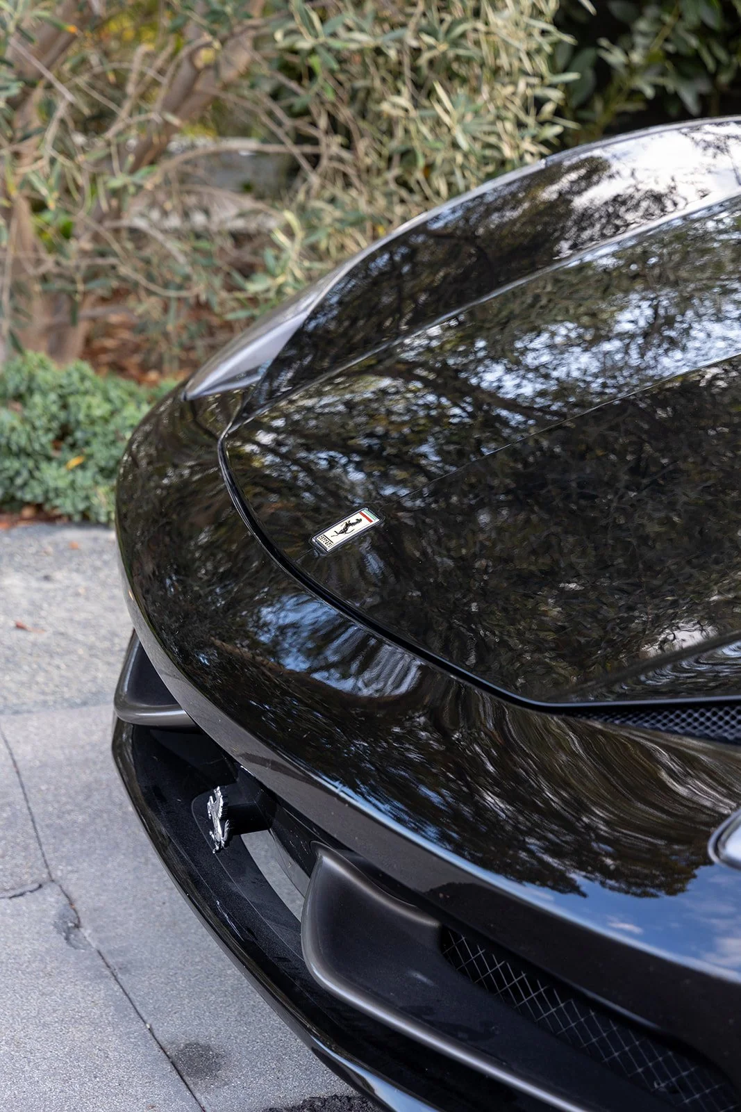 Close-up of the front of a black Ferrari sports car parked on a driveway, with reflections of trees on its hood.