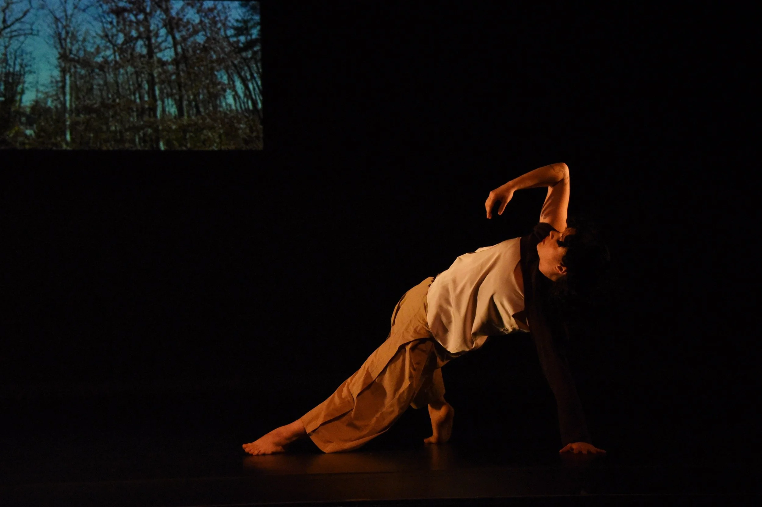 "through:out". 2025, self-choreographed