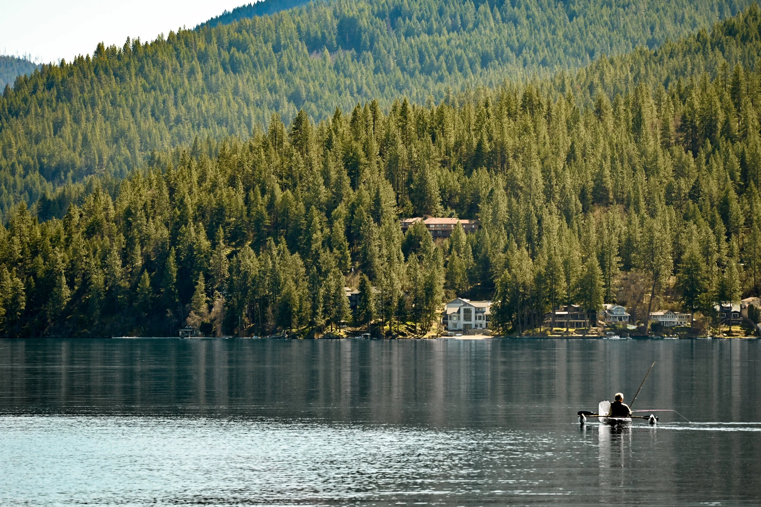 DSC_2334.jpg