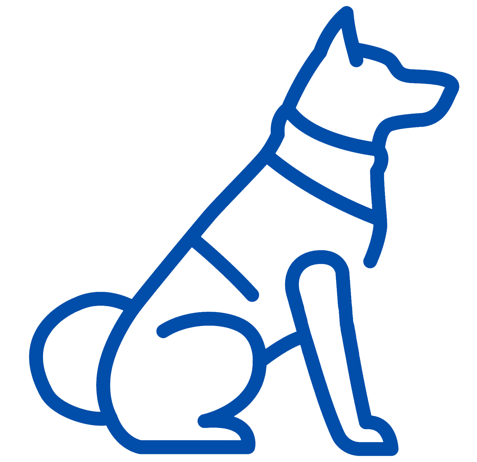 Outline of a dog in a sitting position, made with blue lines.