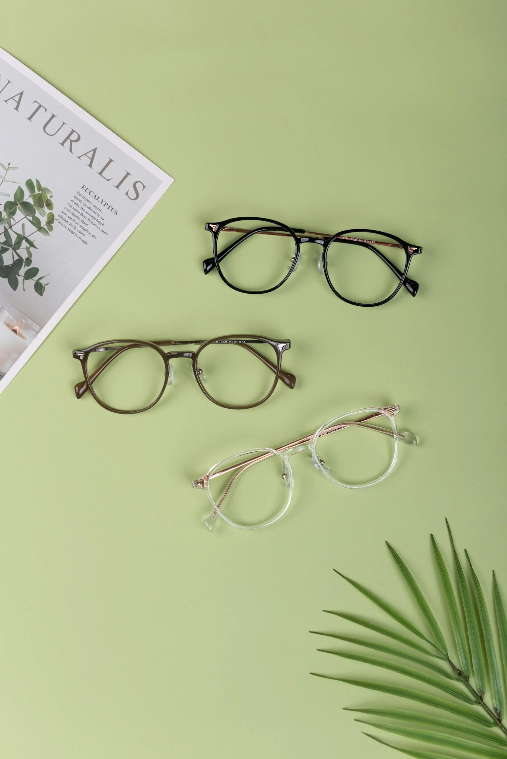 A flat lay of three pairs of eyeglasses on a light green surface, with a partially visible botanical magazine and a green plant with long pointed leaves.