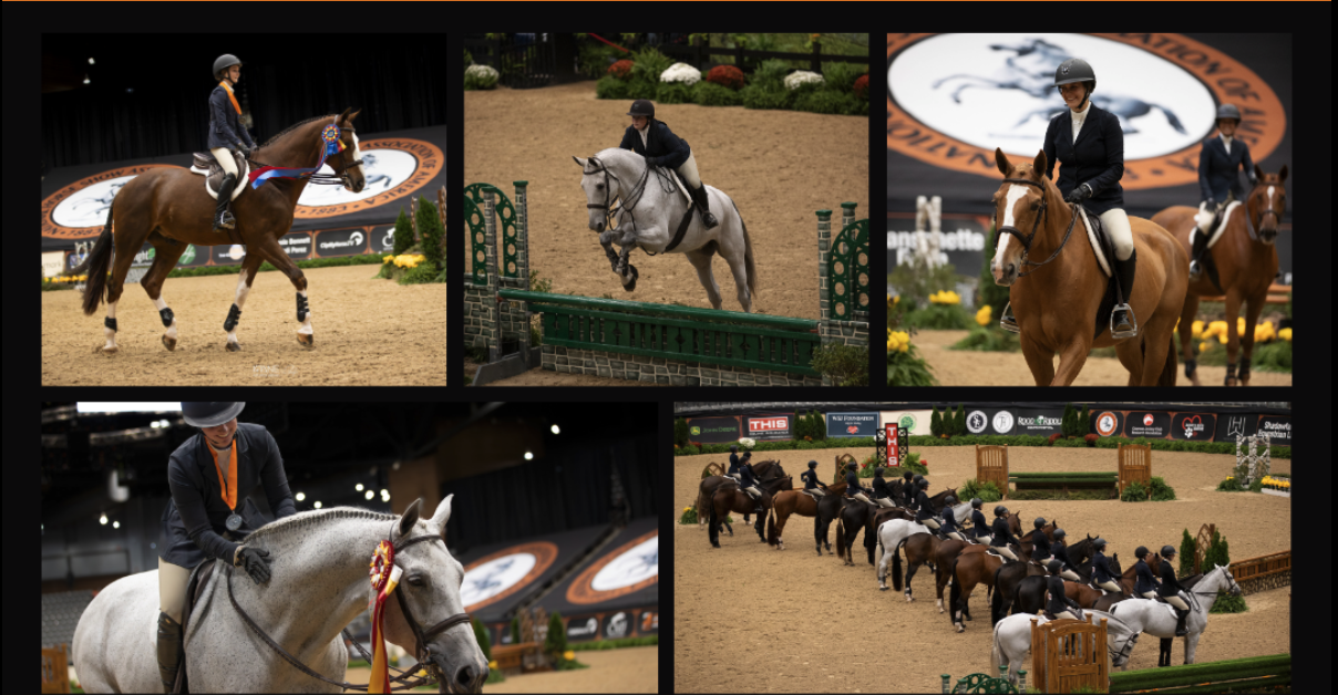 Six images from an equestrian event showing riders on horseback, jumping over obstacles, and participating in a horse parade.
