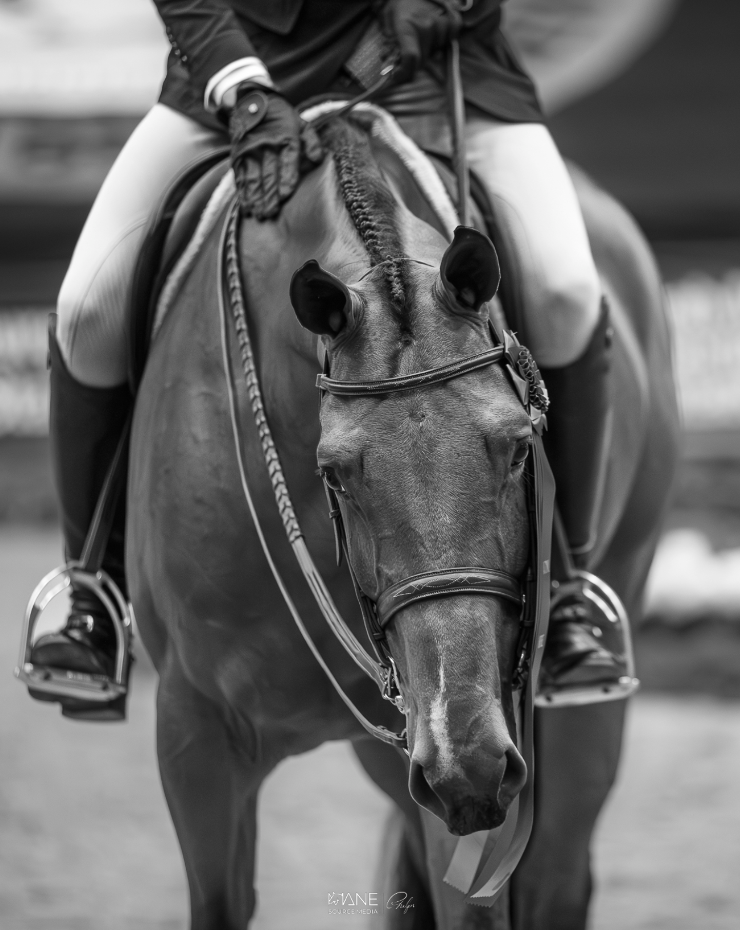 A person riding a horse, focusing on the horse's head and rider's legs, with the rider wearing gloves and riding boots.