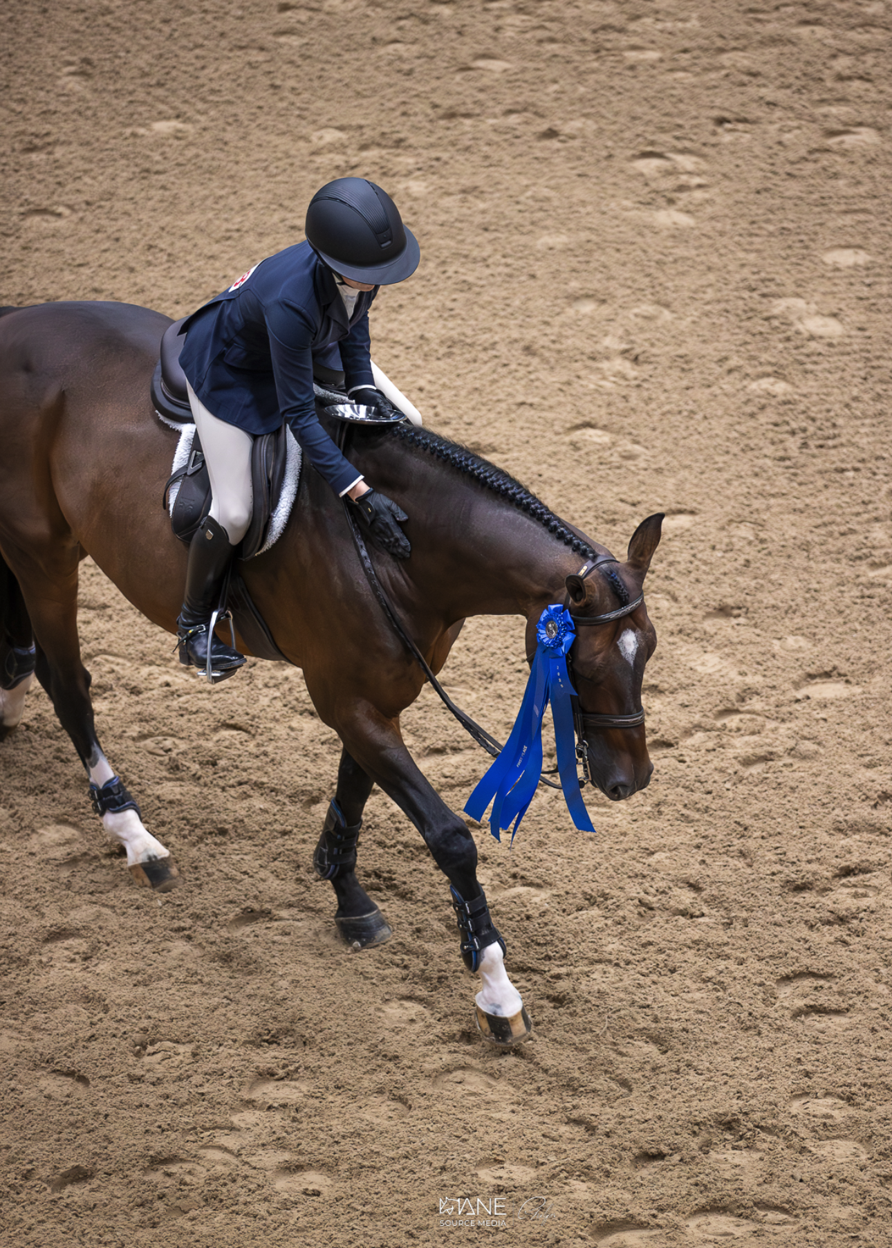 A person in equestrian attire riding a brown horse on sandy ground, with the horse wearing a blue ribbon rosette.