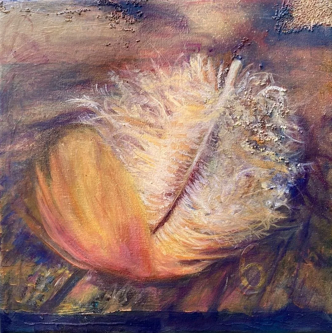 Orange Feather Found