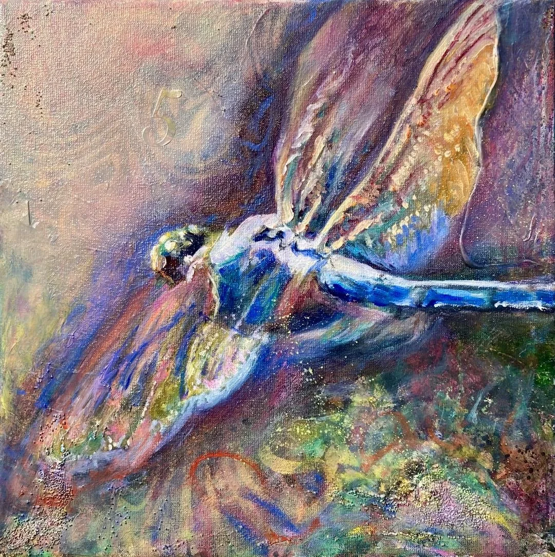 Dragonfly Dream
