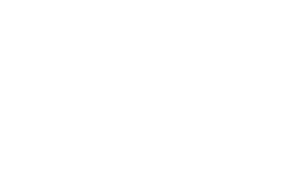LEWIS MANNING MEDIA