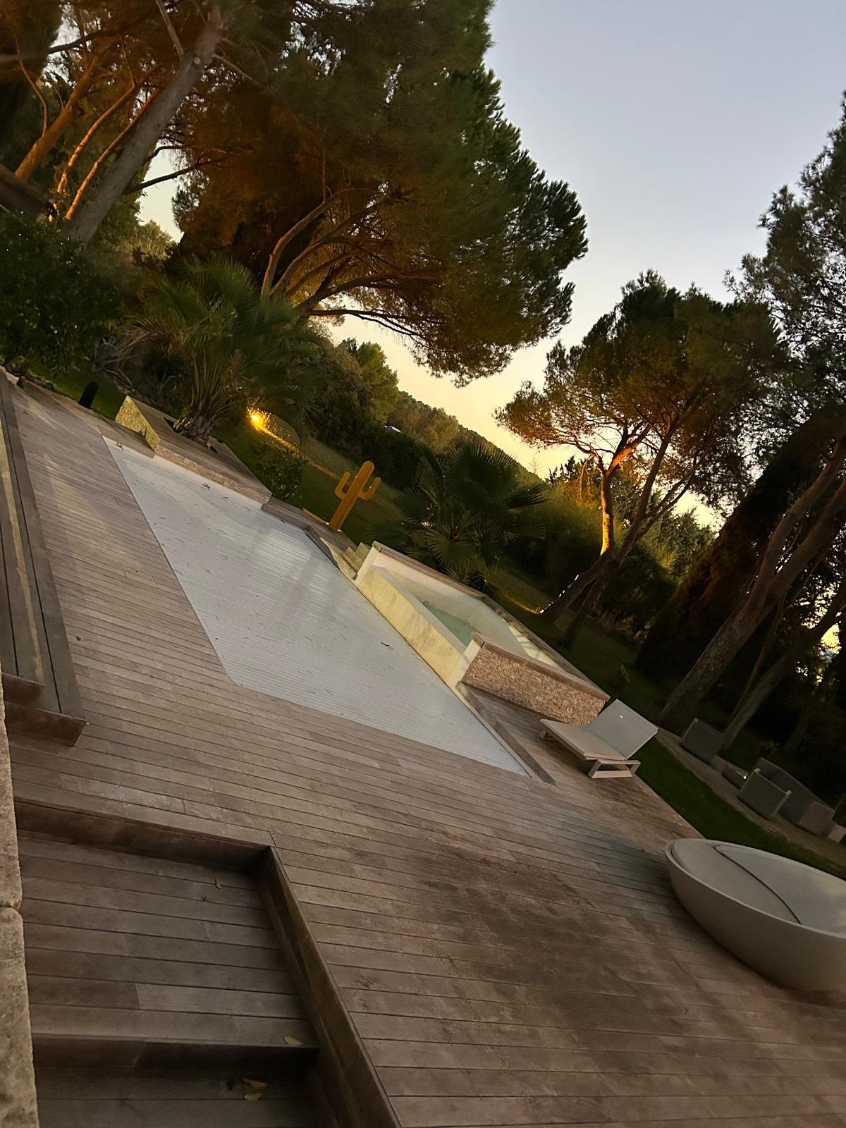 Une terrasse en bois avec un jacuzzi, un petit bassin ou un bain, entourée d'arbres et de végétation, au crépuscule.