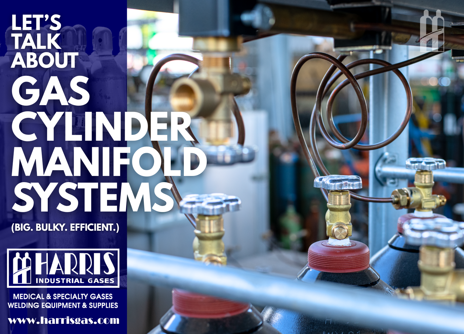 MANFOLD SYSTEMS.png