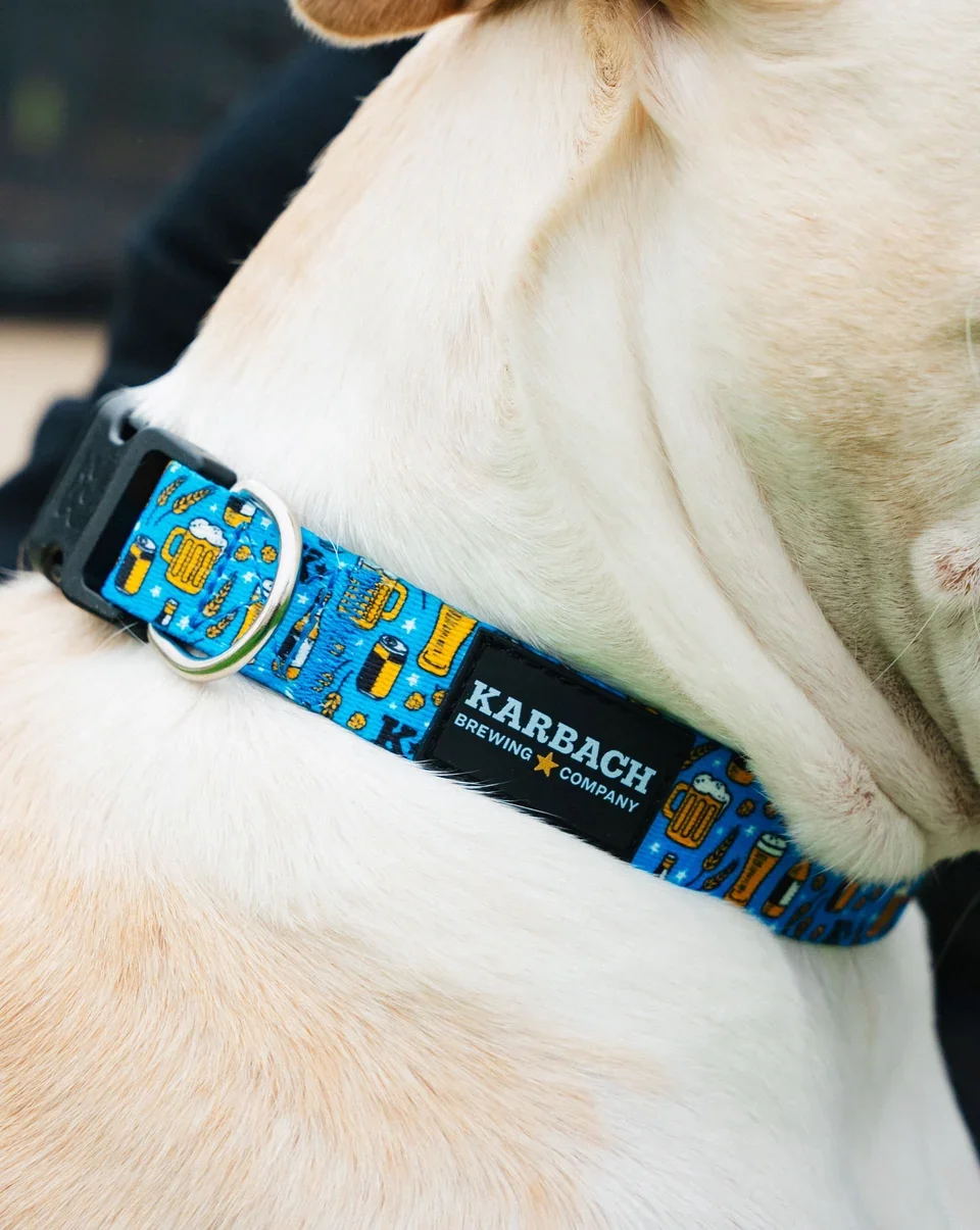 DogCollarKarbach_960x.webp