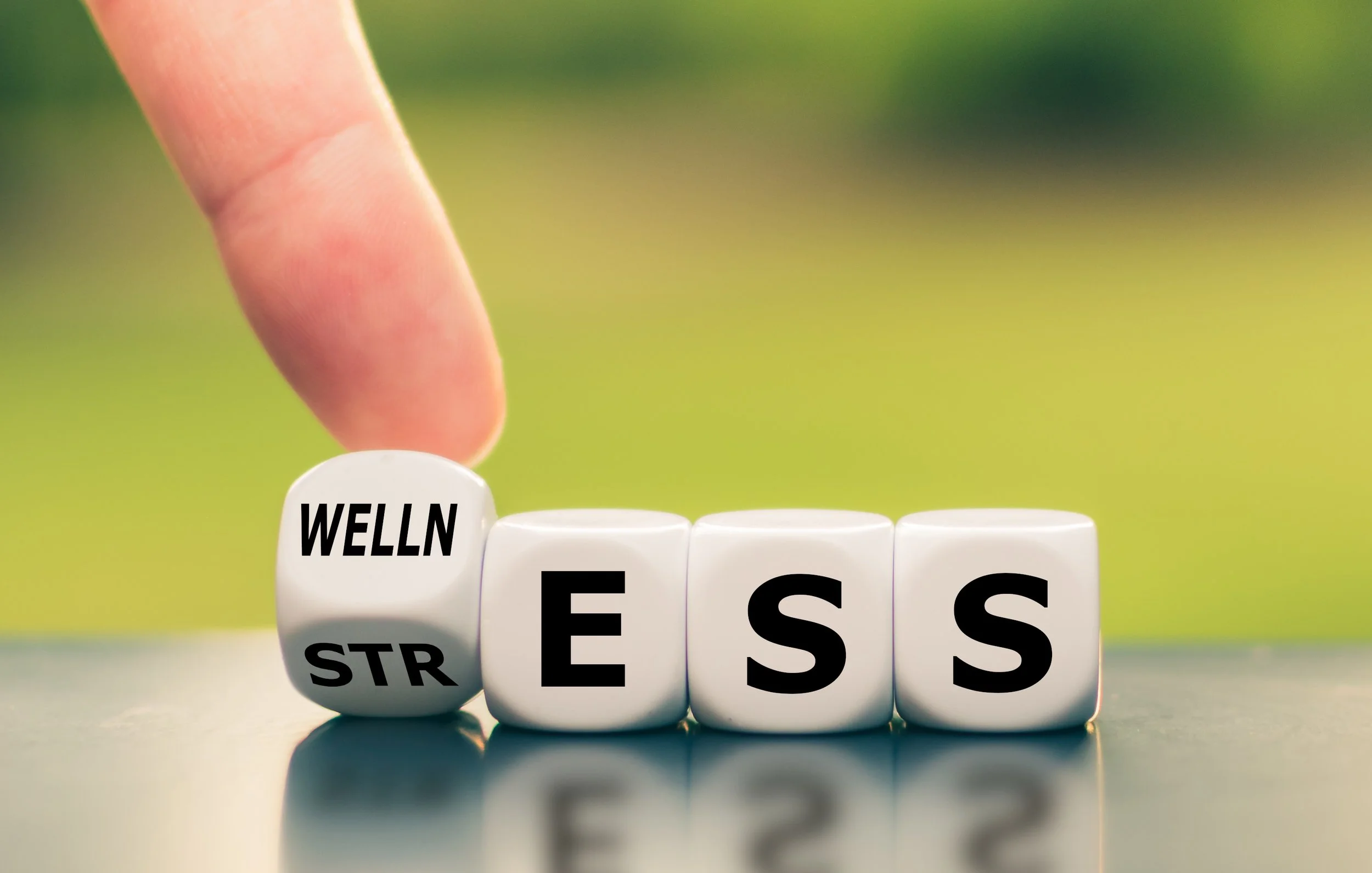 Wellness and the Pilot