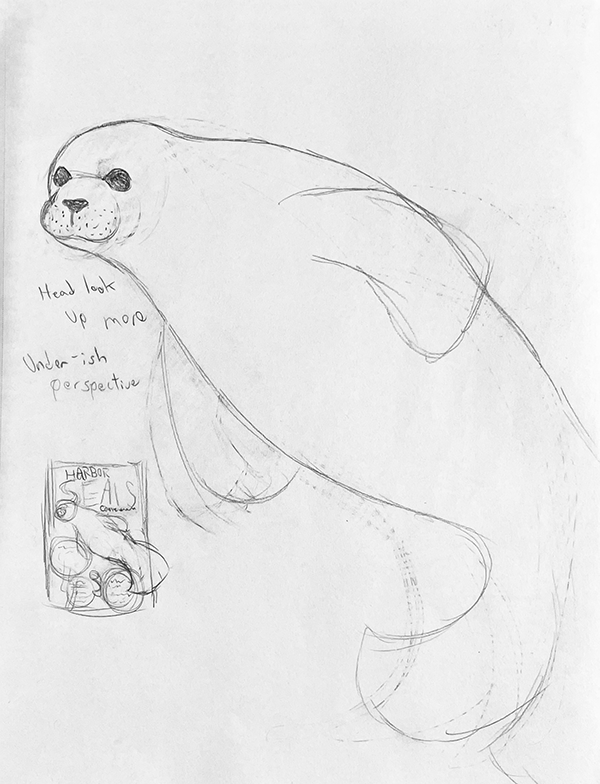 Sketch 3.png