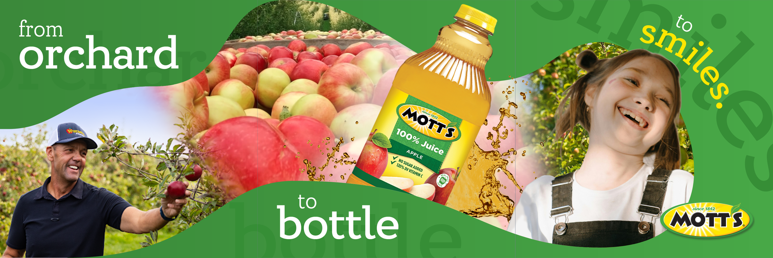 Social Media - Mott's