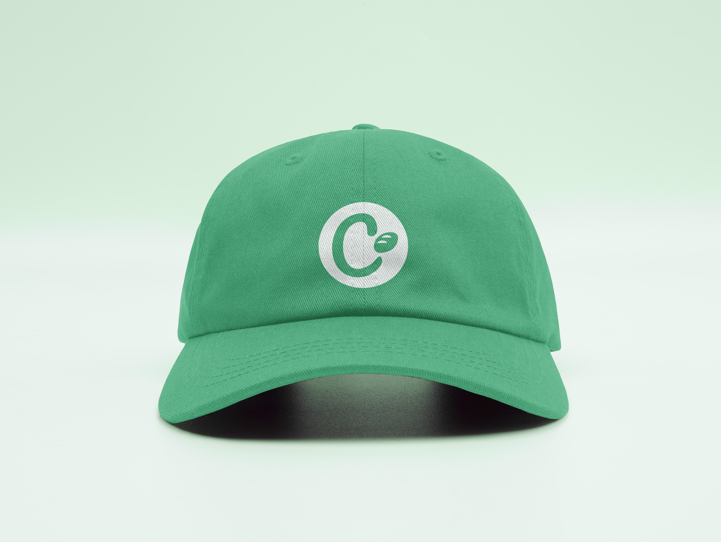 Project 3 - Brand System Cap.png