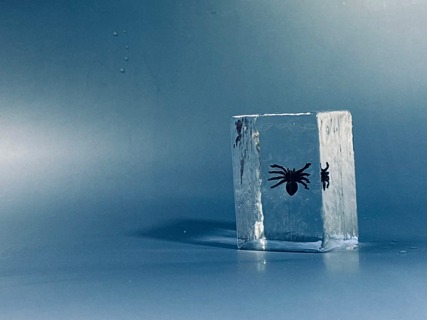 Spooky Ice - 5.png
