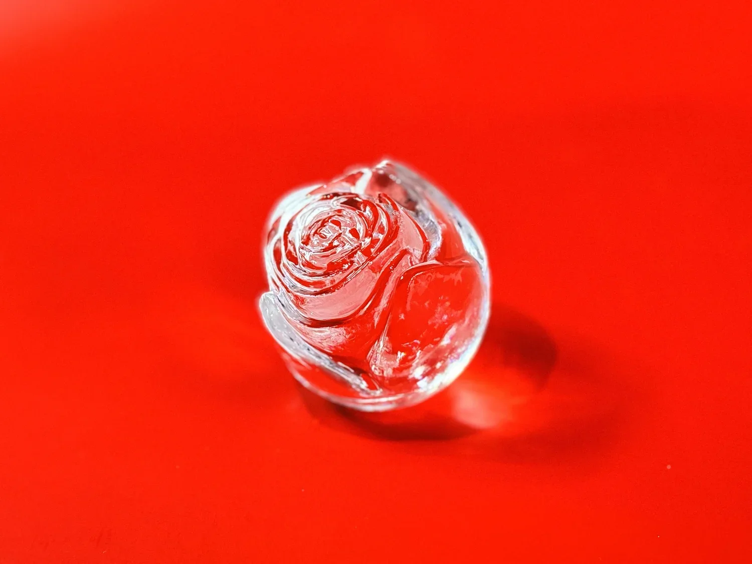 Rose Ice - 1.webp