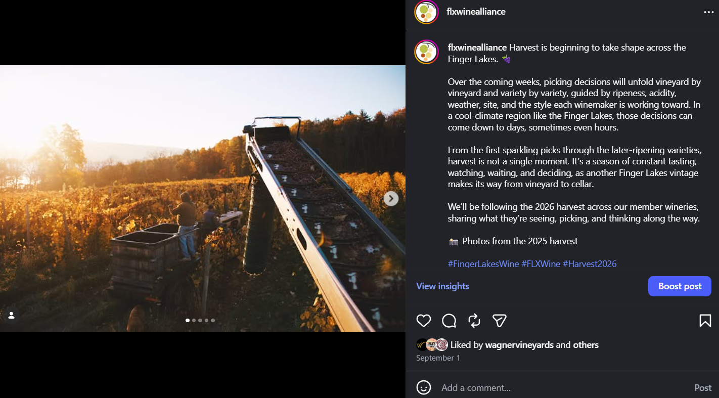 Seasonal campaign: developed a social media series following the 2026 harvest across Finger Lakes member wineries, using winery-supplied photography and firsthand insights to bring audiences behind the scenes.