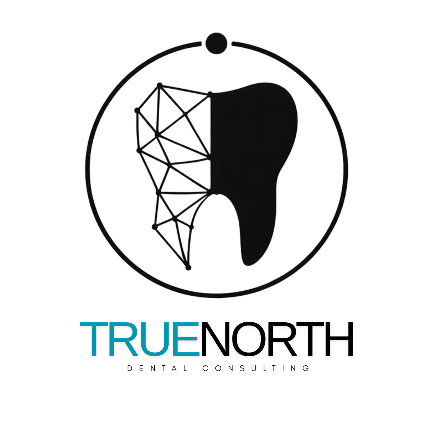 True North Dental Consulting