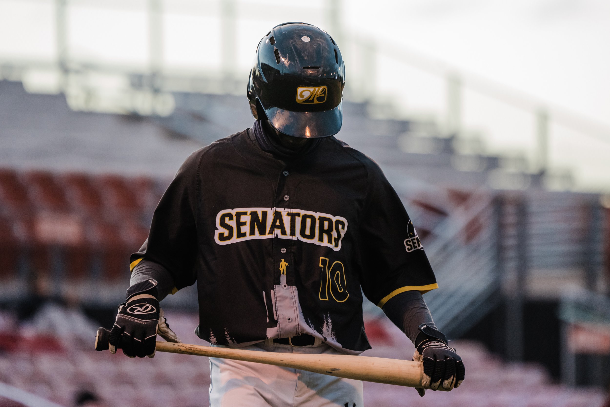 The Mavericks League