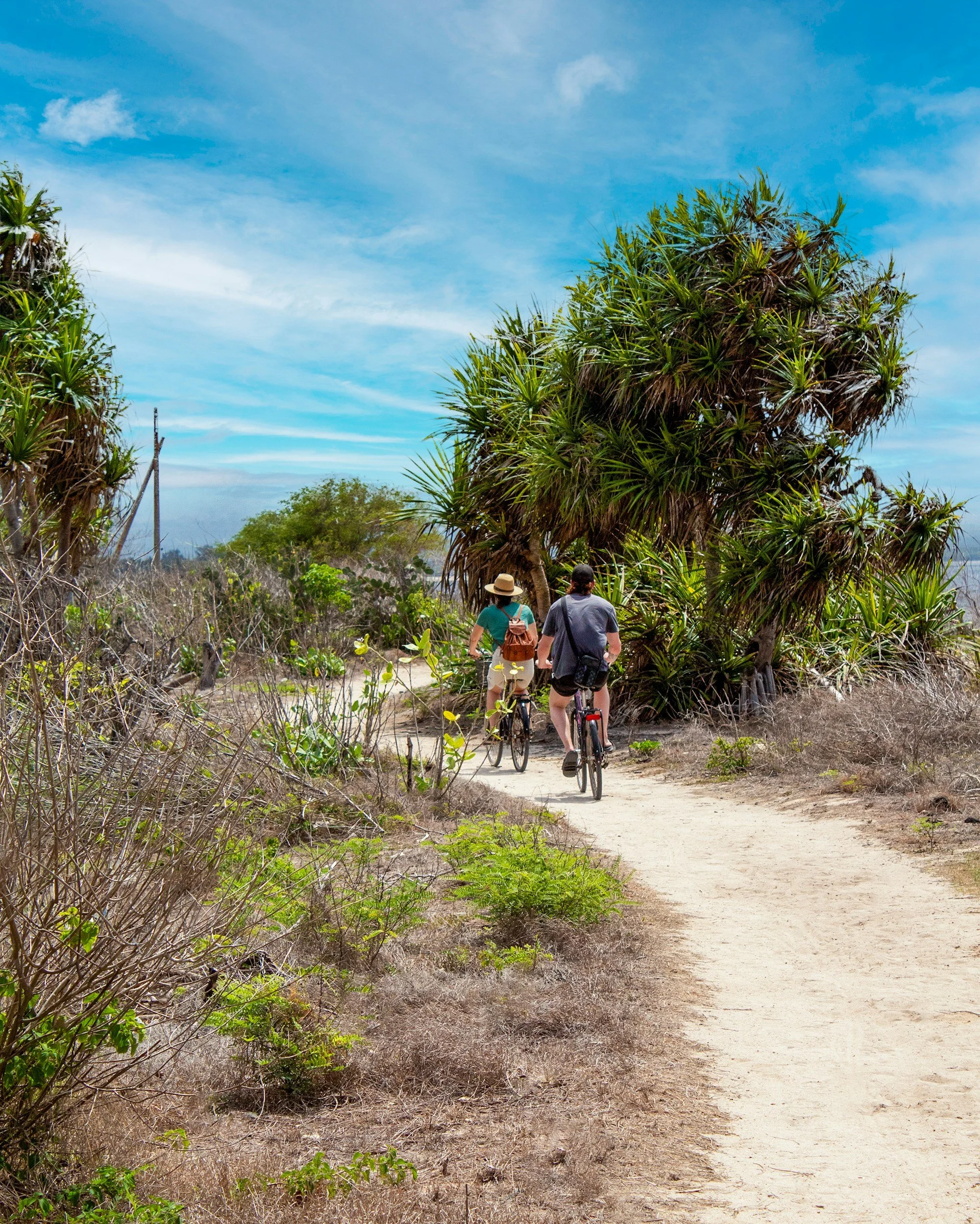 Two people riding bicycles on a sandy trail through a coastal landscape with large trees and sparse vegetation under a blue sky with clouds.