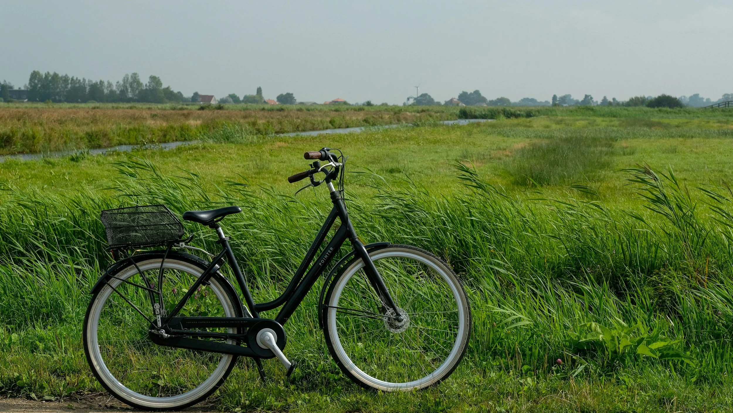 Black bicycle parked on grassy field with tall green grass, a small body of water, and a distant rural landscape under an overcast sky.