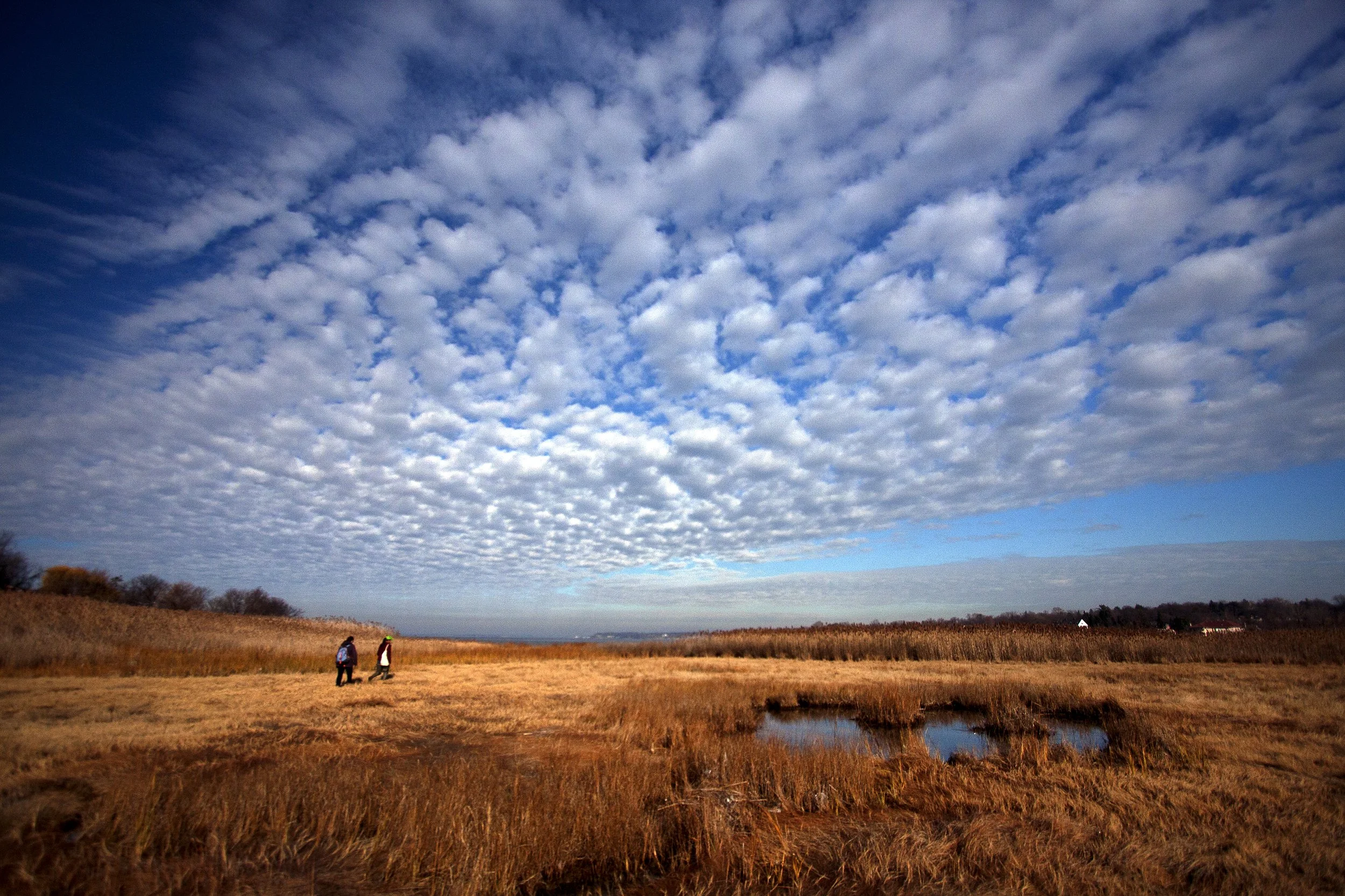 Alley Pond Park, Queens — From Parks and People, ongoing documentation of New Yorkers relationship to parks
