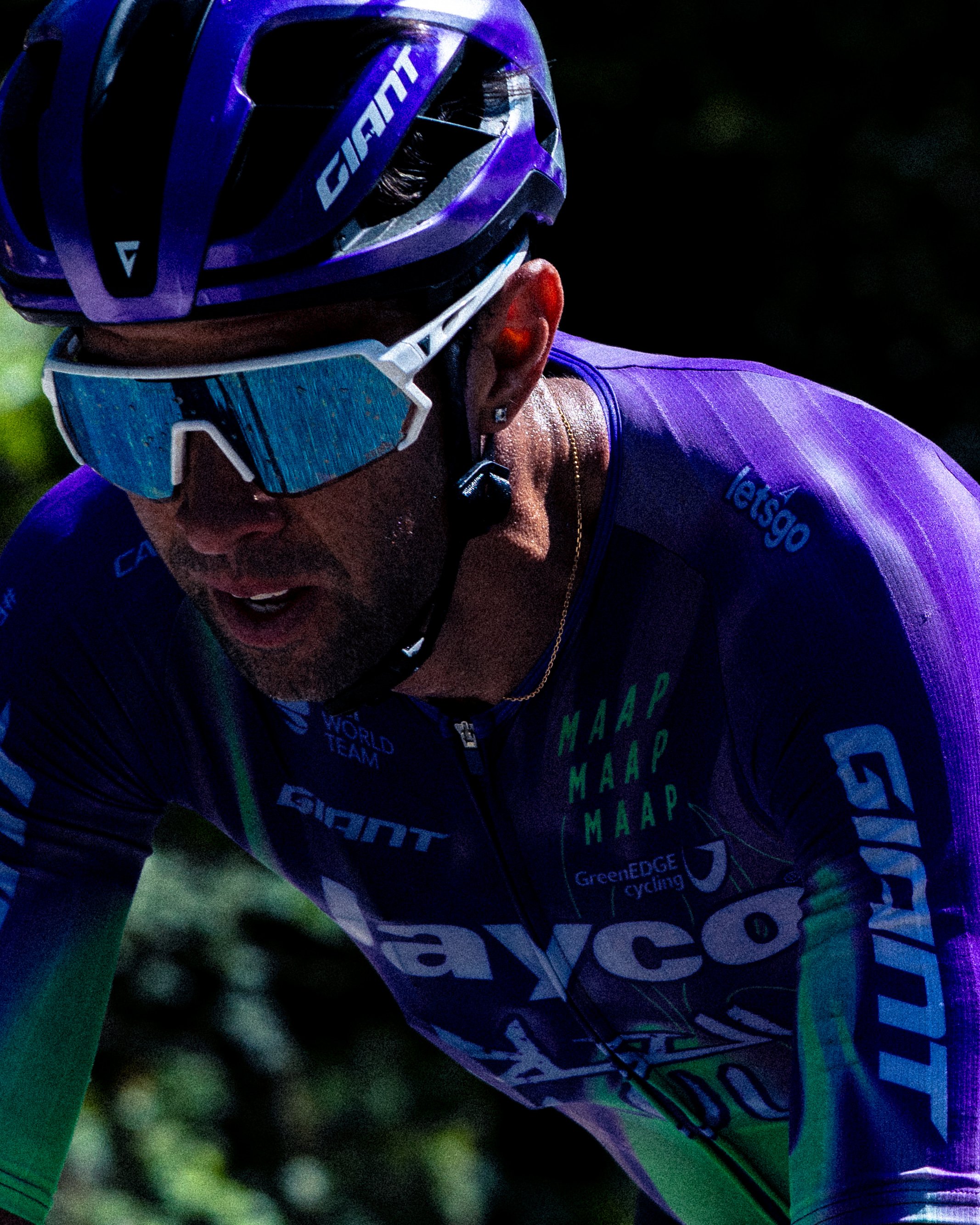 TDF-15.jpg