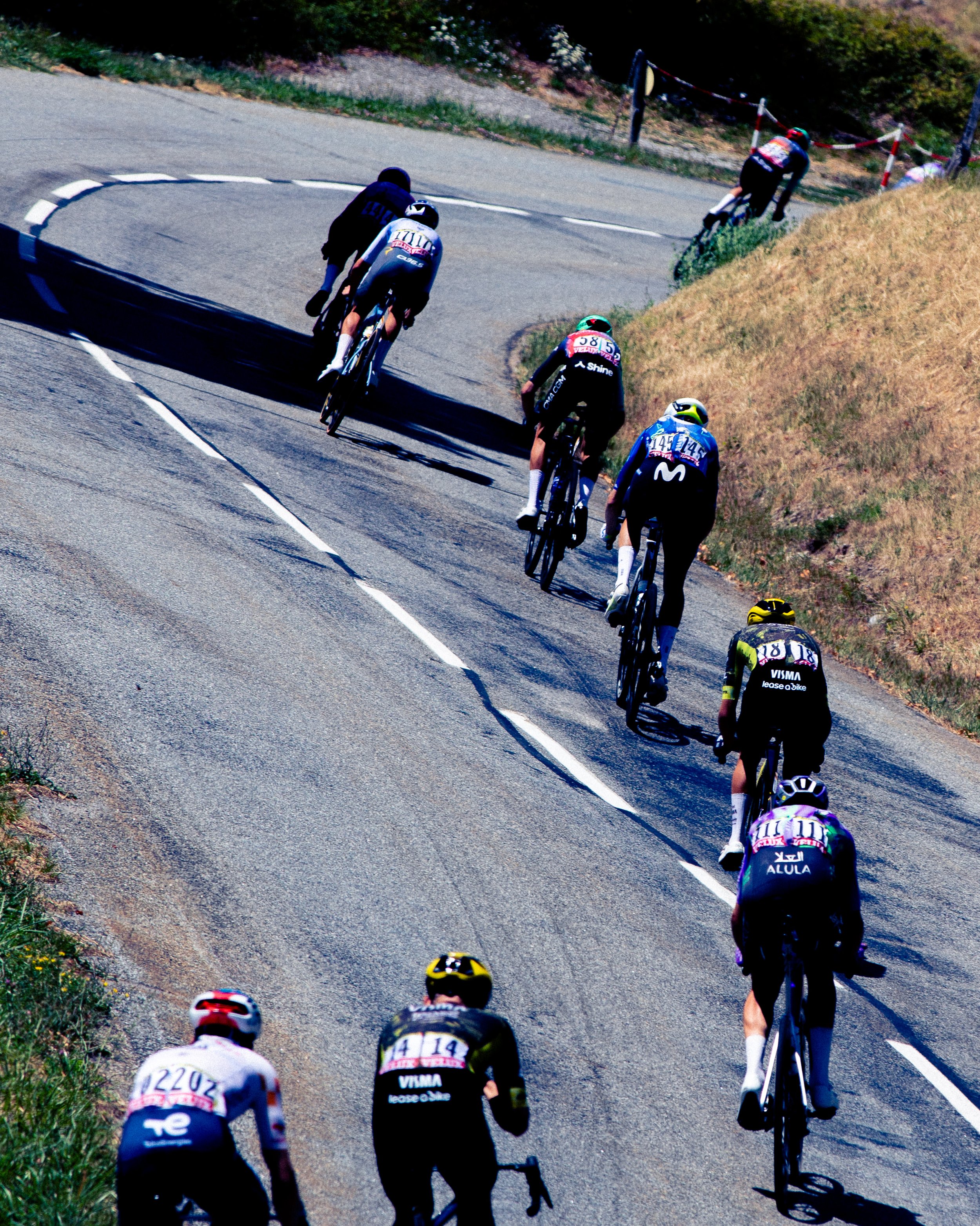 TDF-5.jpg