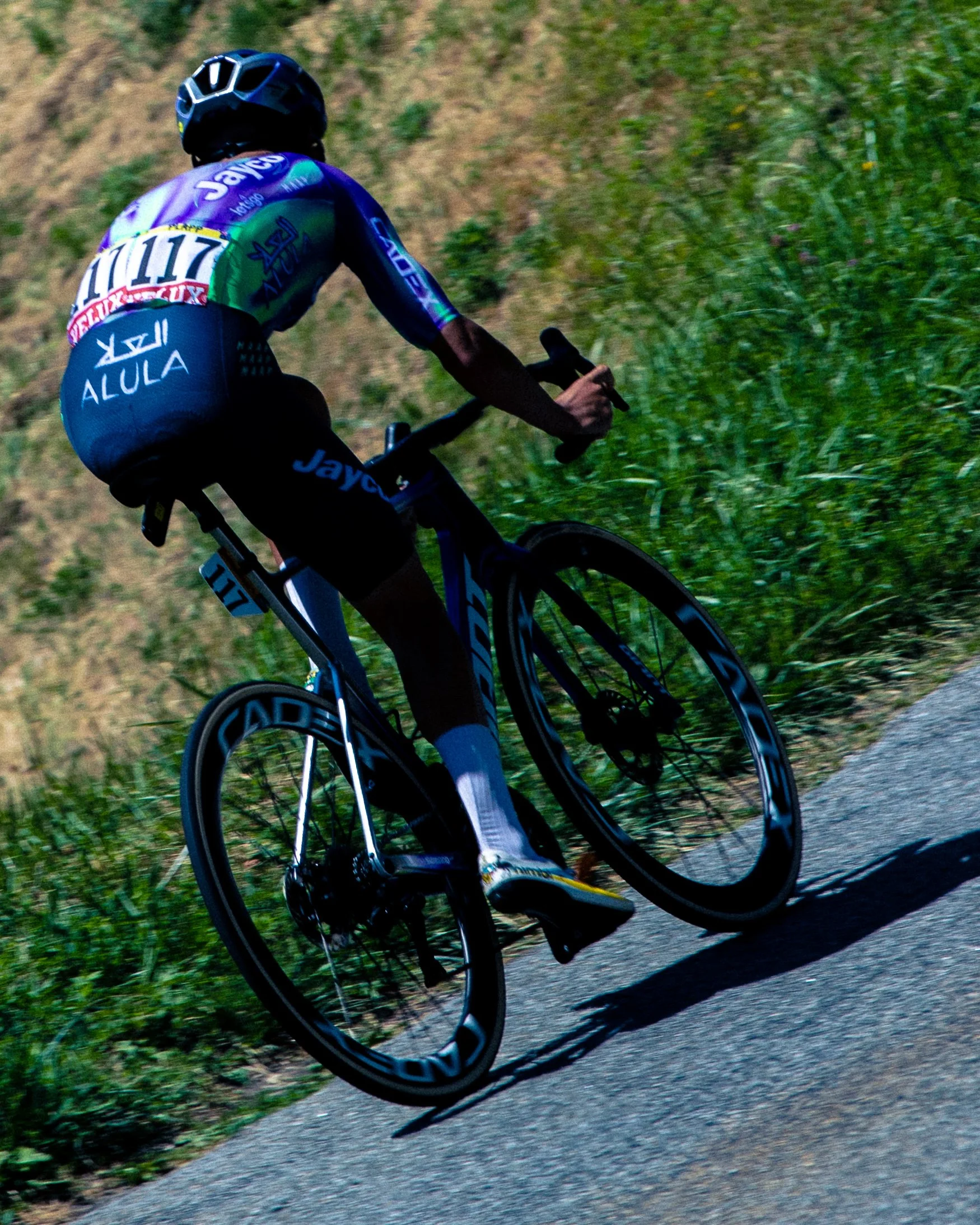 TDF-17.jpg