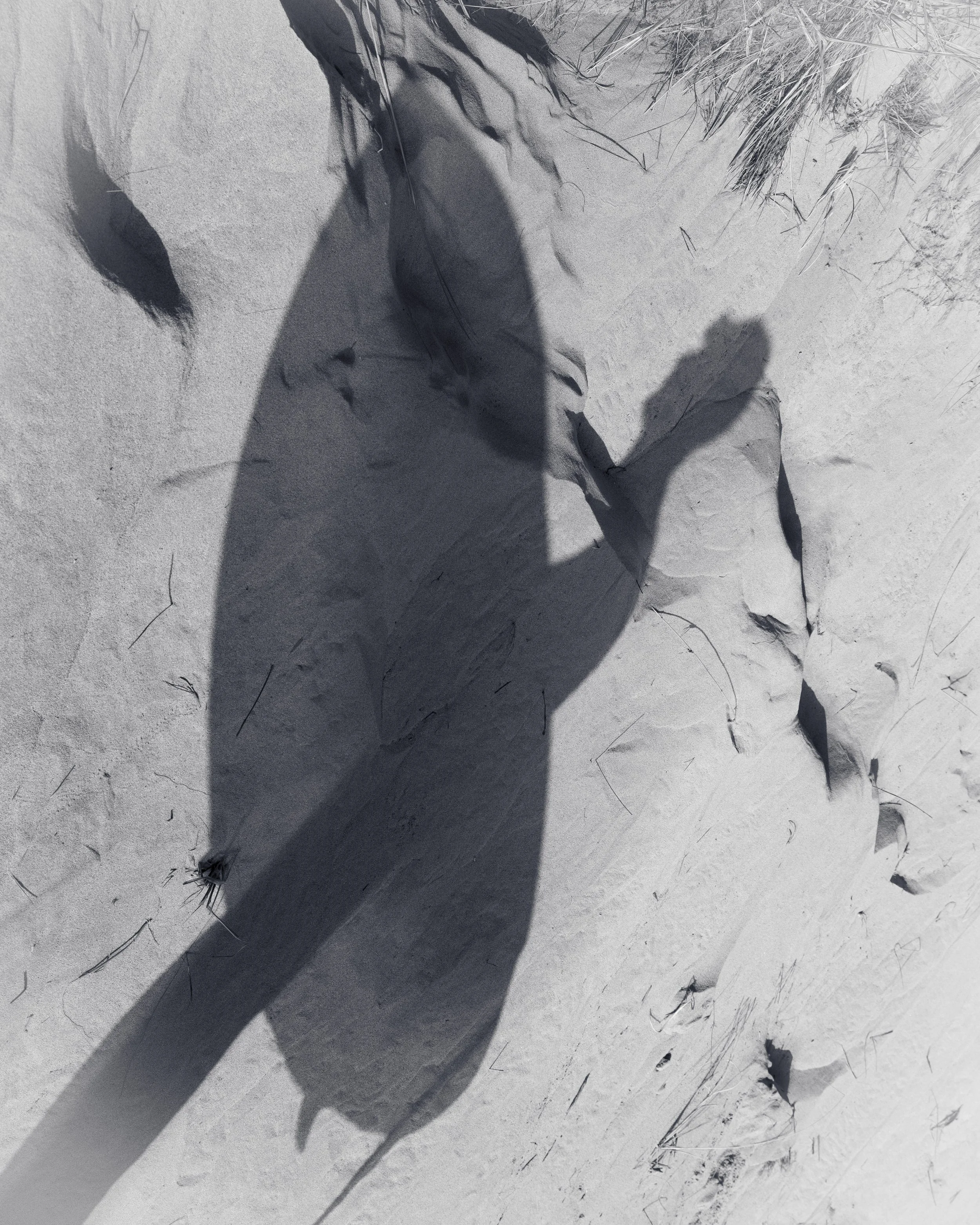 Surf-7.jpg