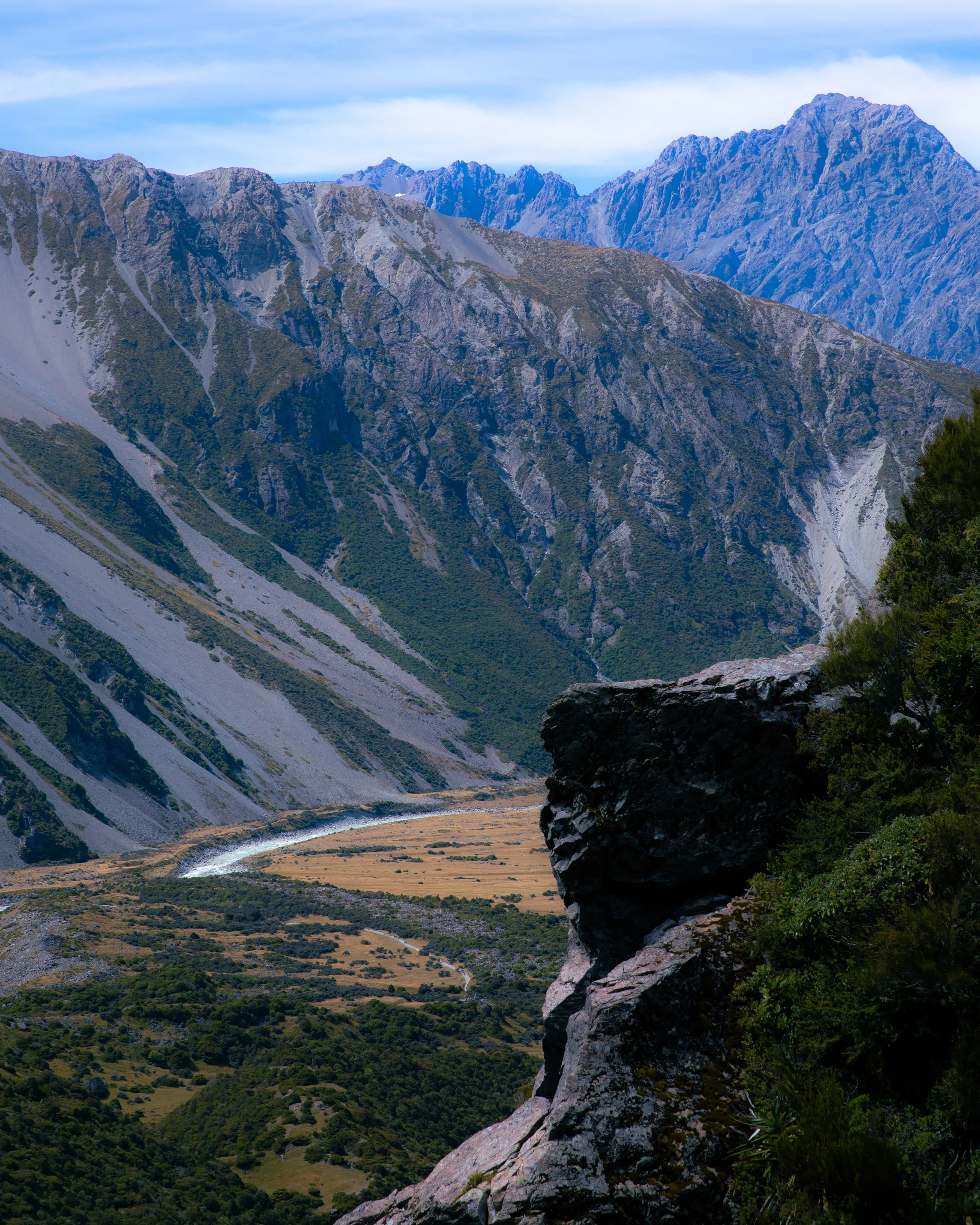 NZ-4.jpg