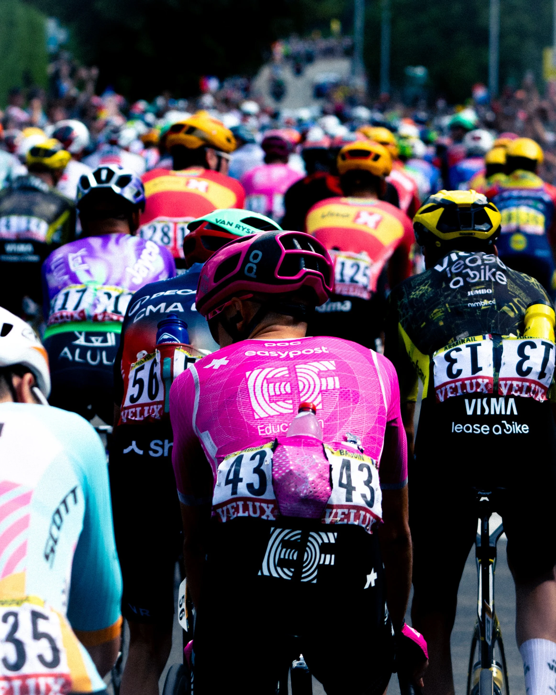 TDF-3.jpg