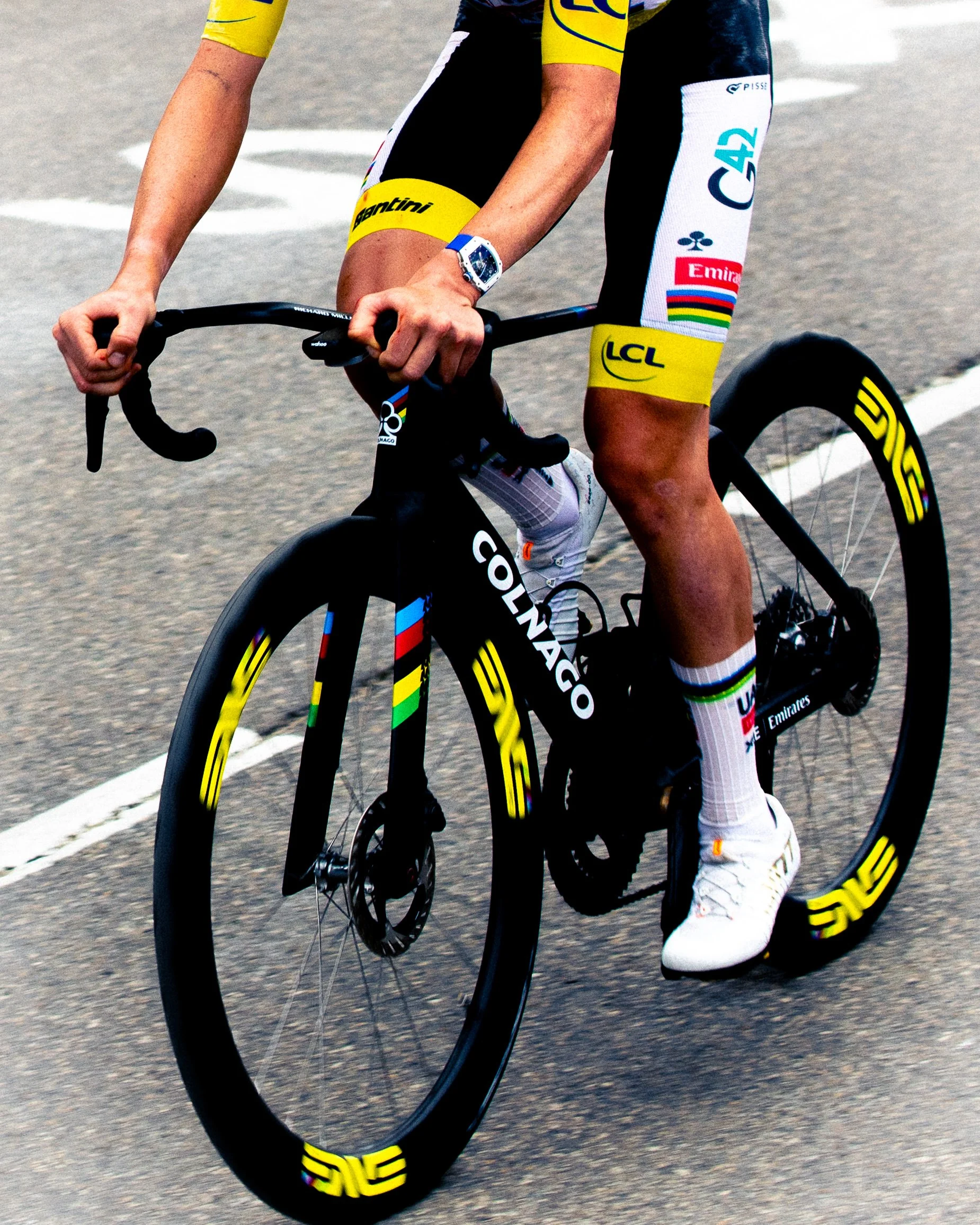 TDF-12.jpg