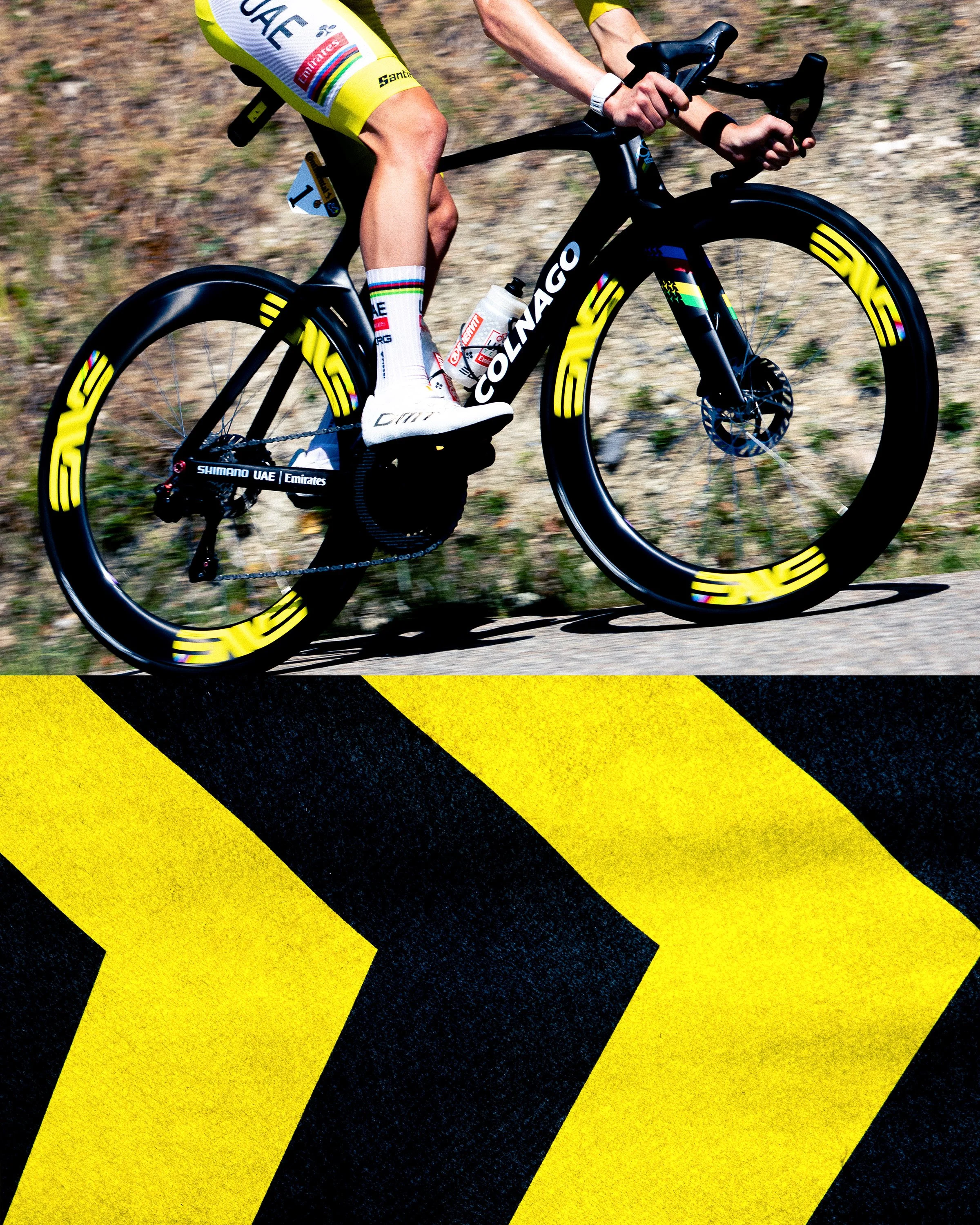 TDF-7.jpg