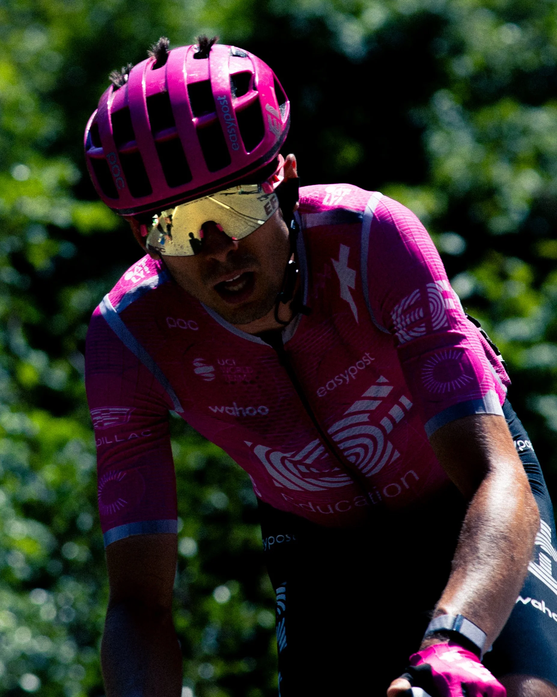 TDF-9.jpg