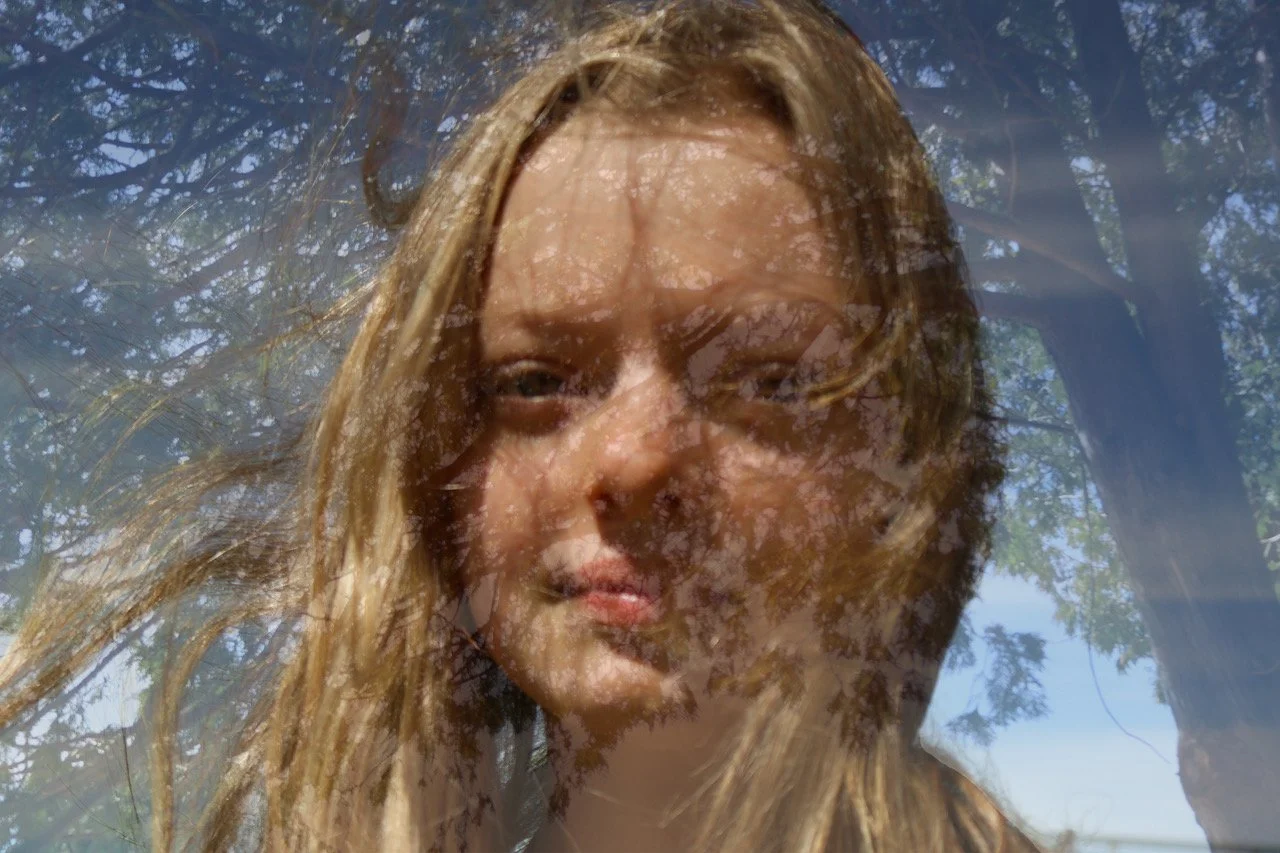 Trees Remind Us 24x36.jpeg