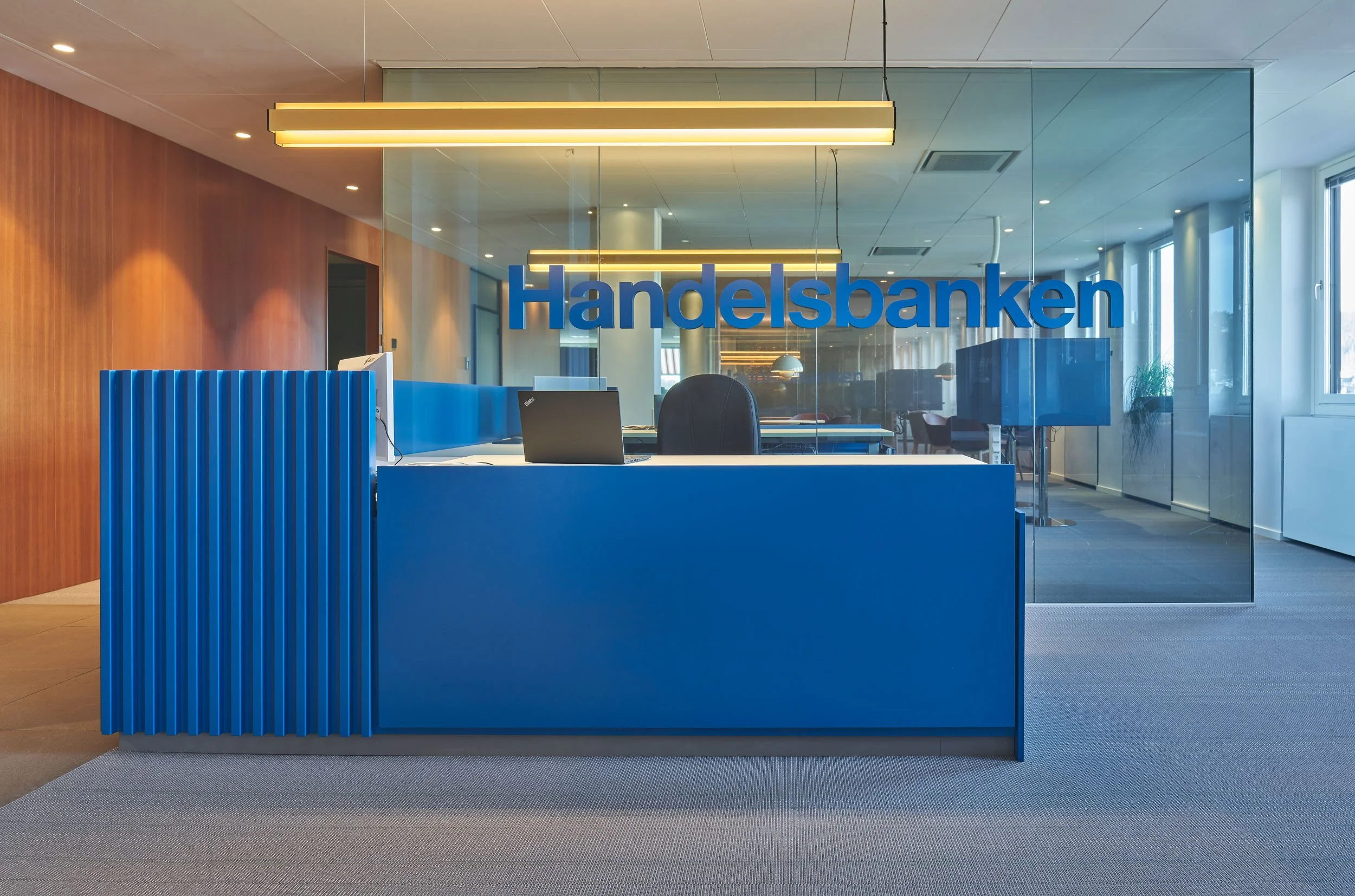 dive-handelsbanken-19.jpg