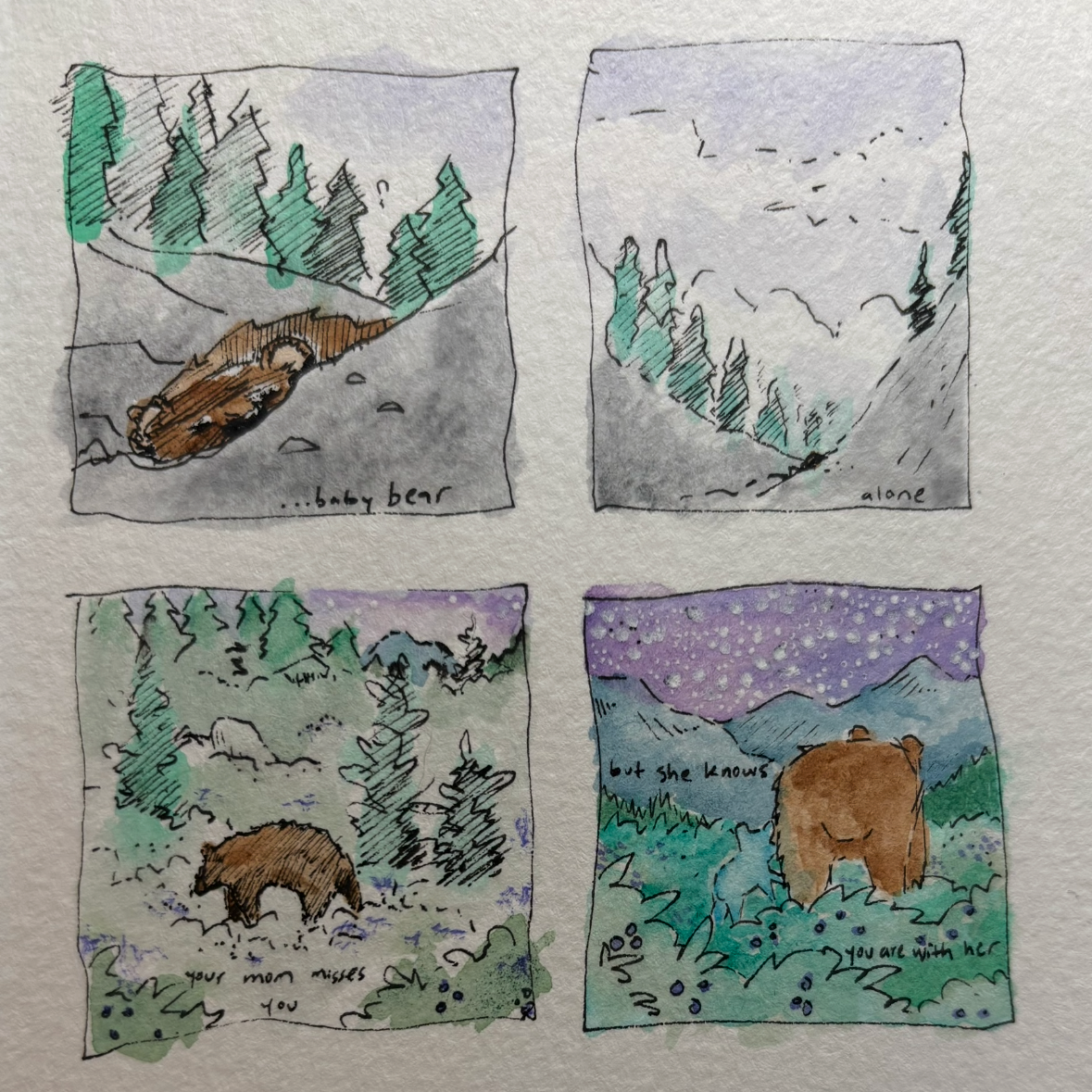 2025 - hoh river trip