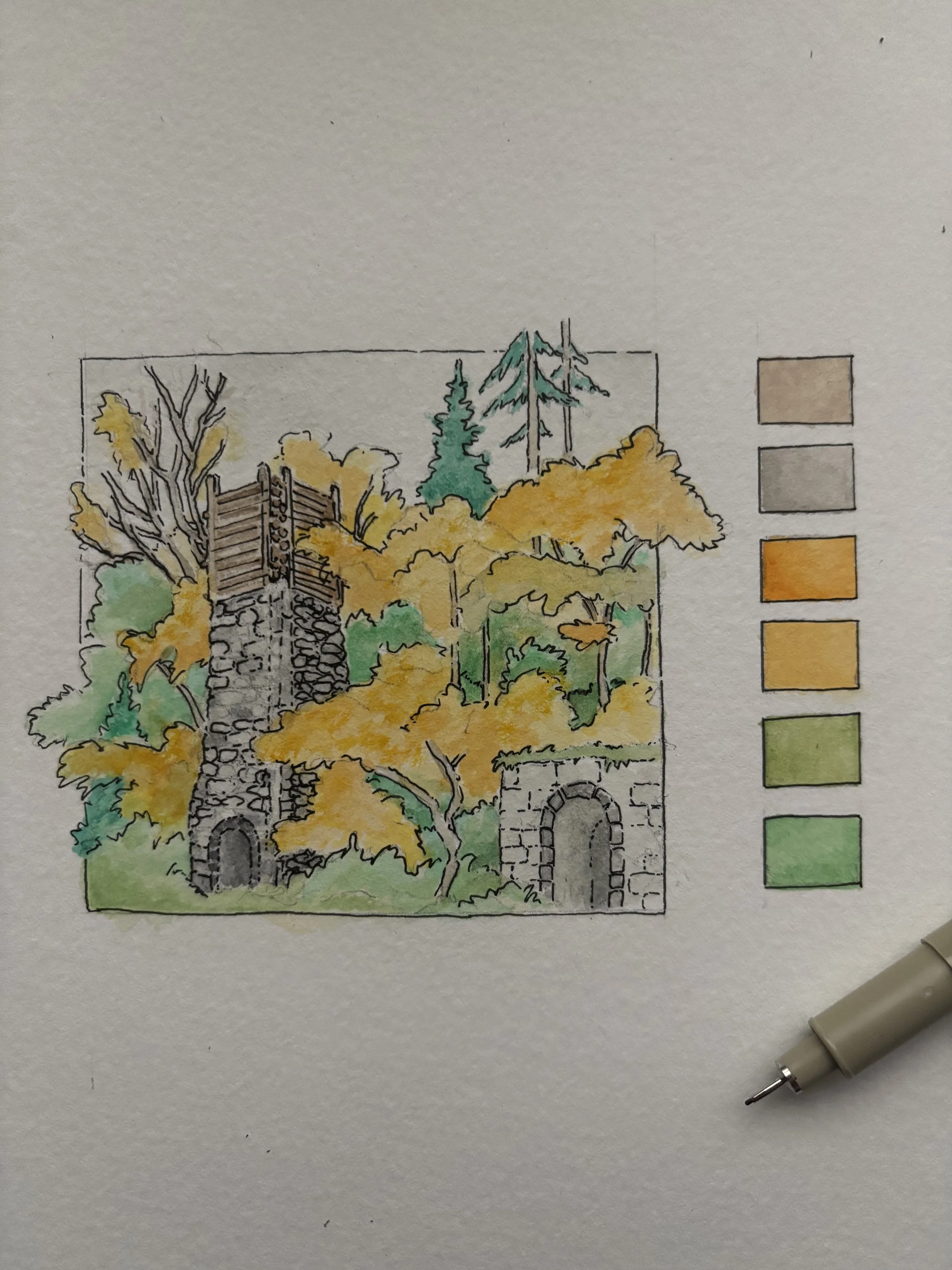 San Juan Island 2025