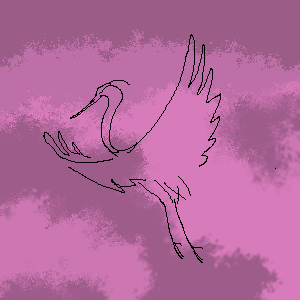 heron study.gif