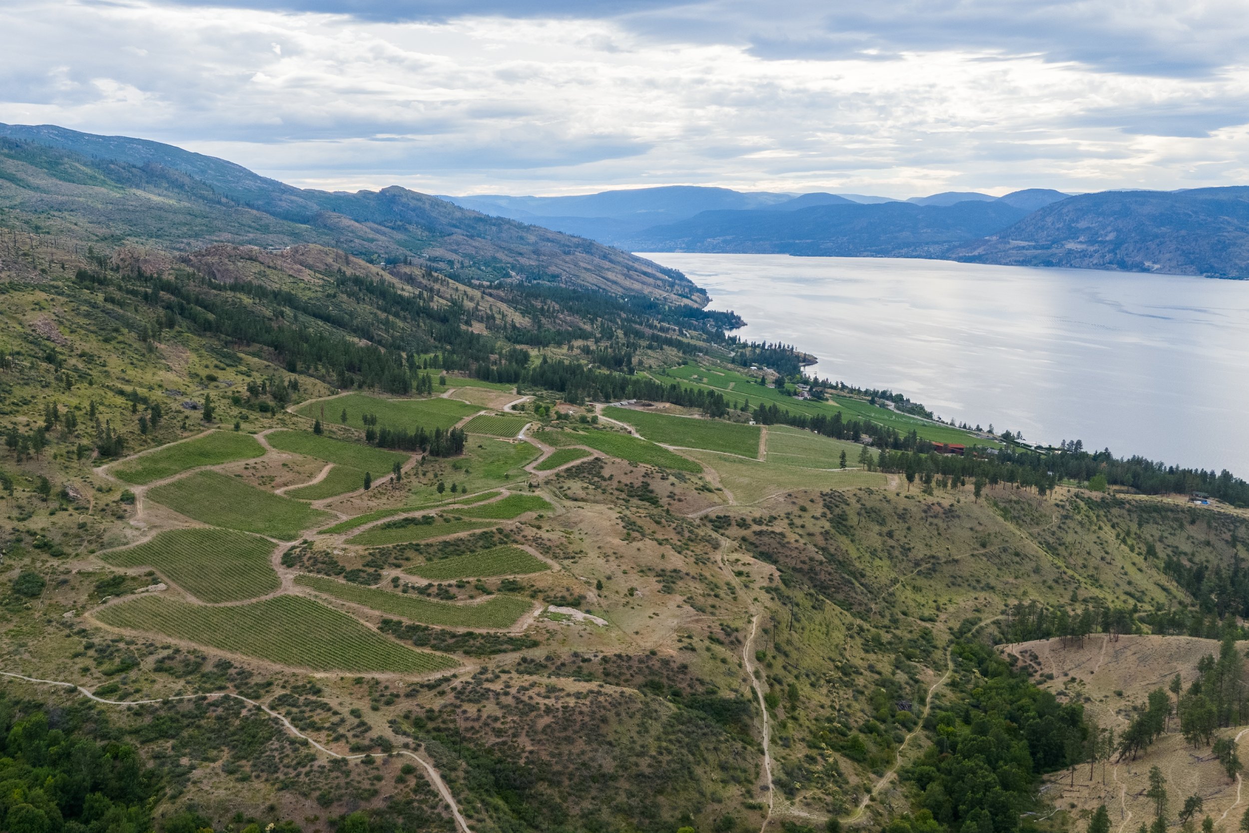 5725 Mountainside102.jpg