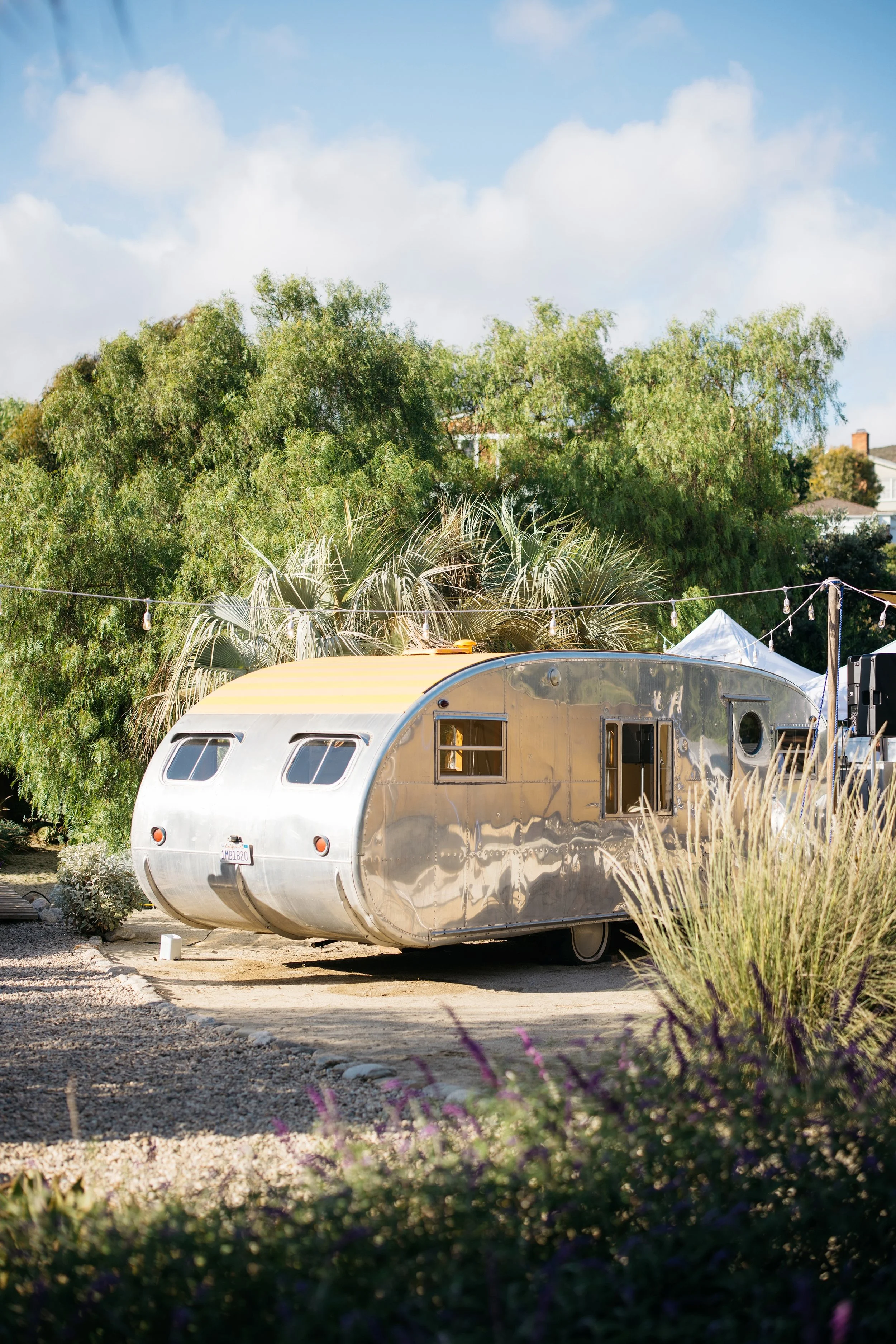 R5X_2913-1 拷贝 2.jpeg