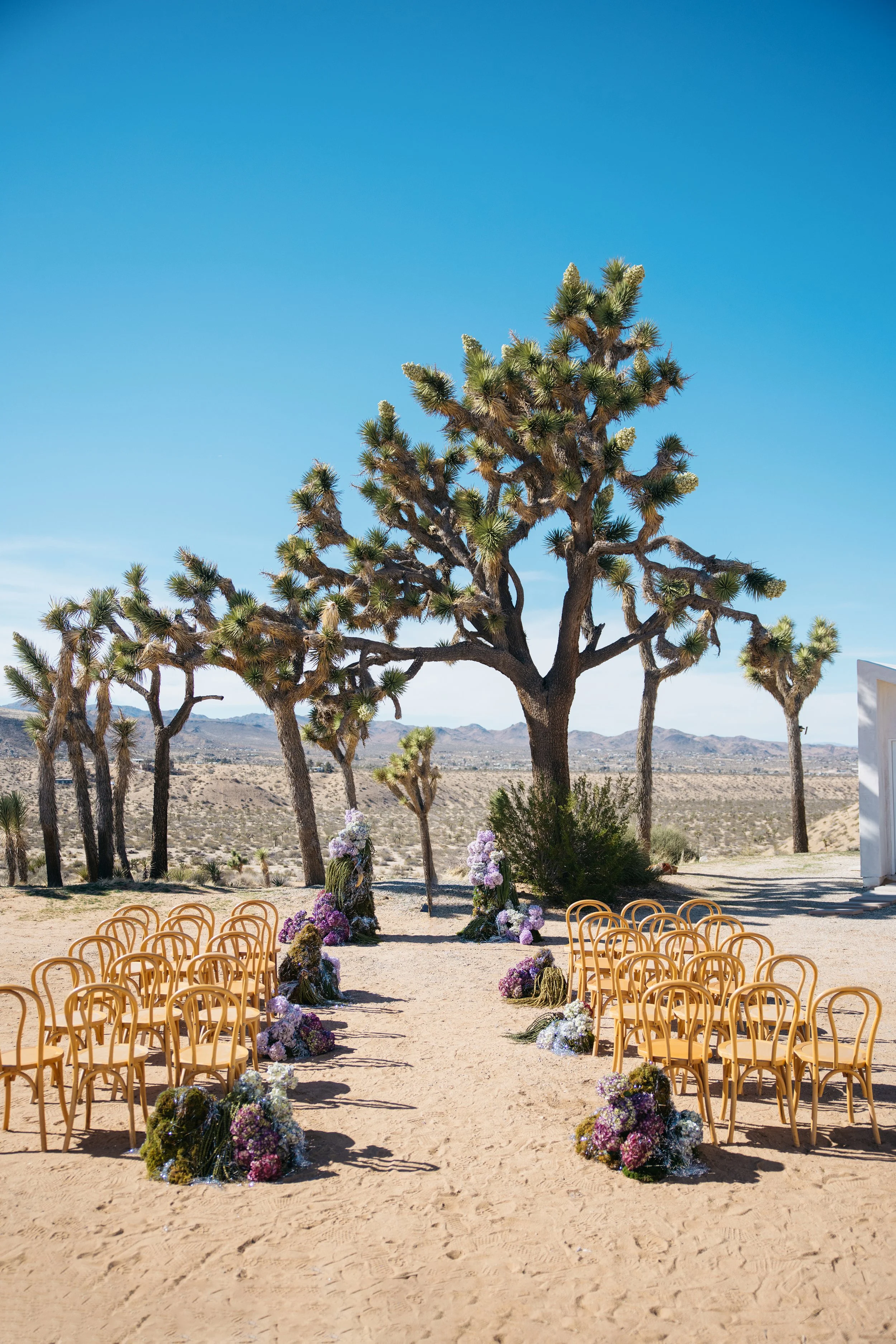 R52_1537-1 拷贝.jpg