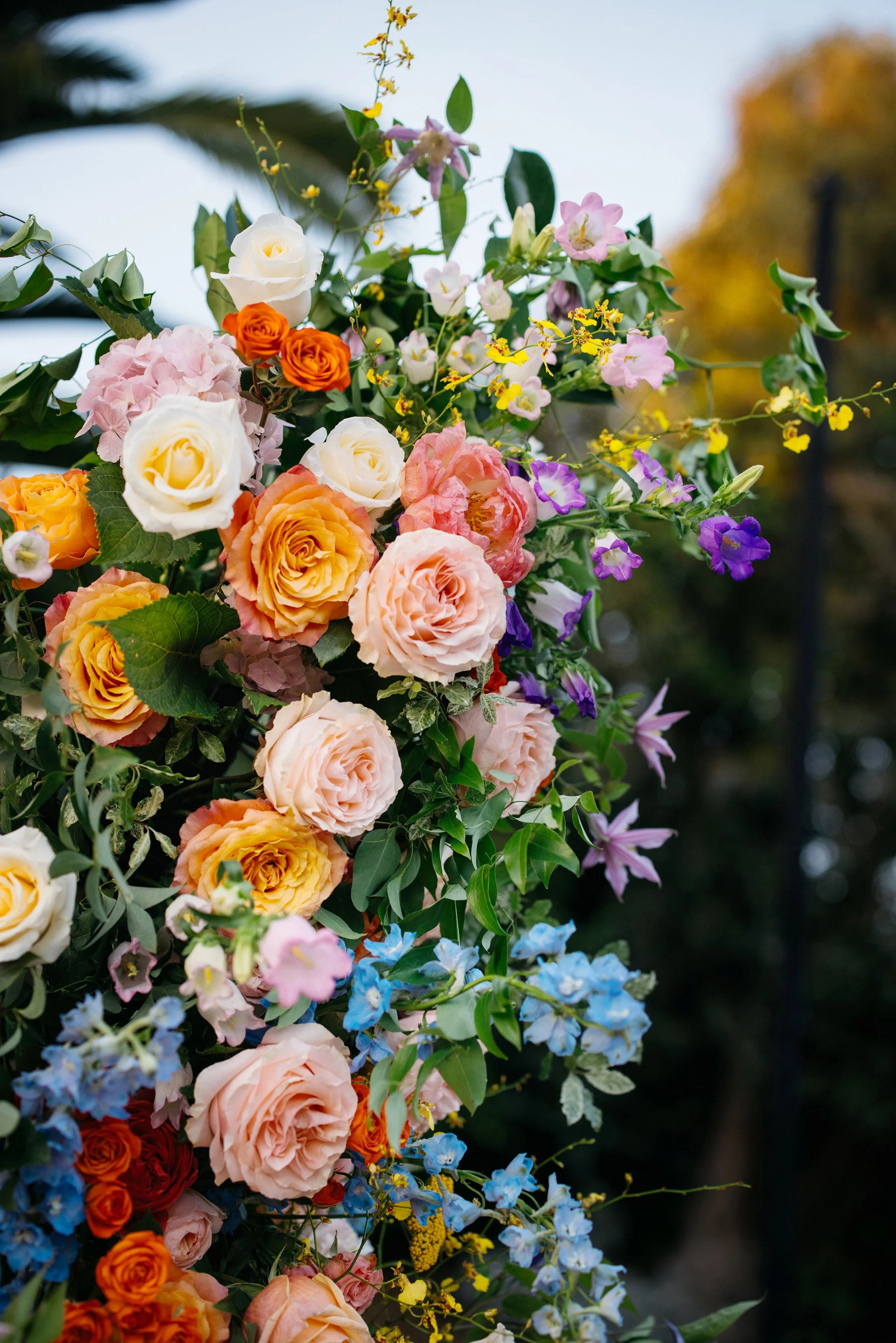 R5X_4405-1 拷贝 2.jpeg