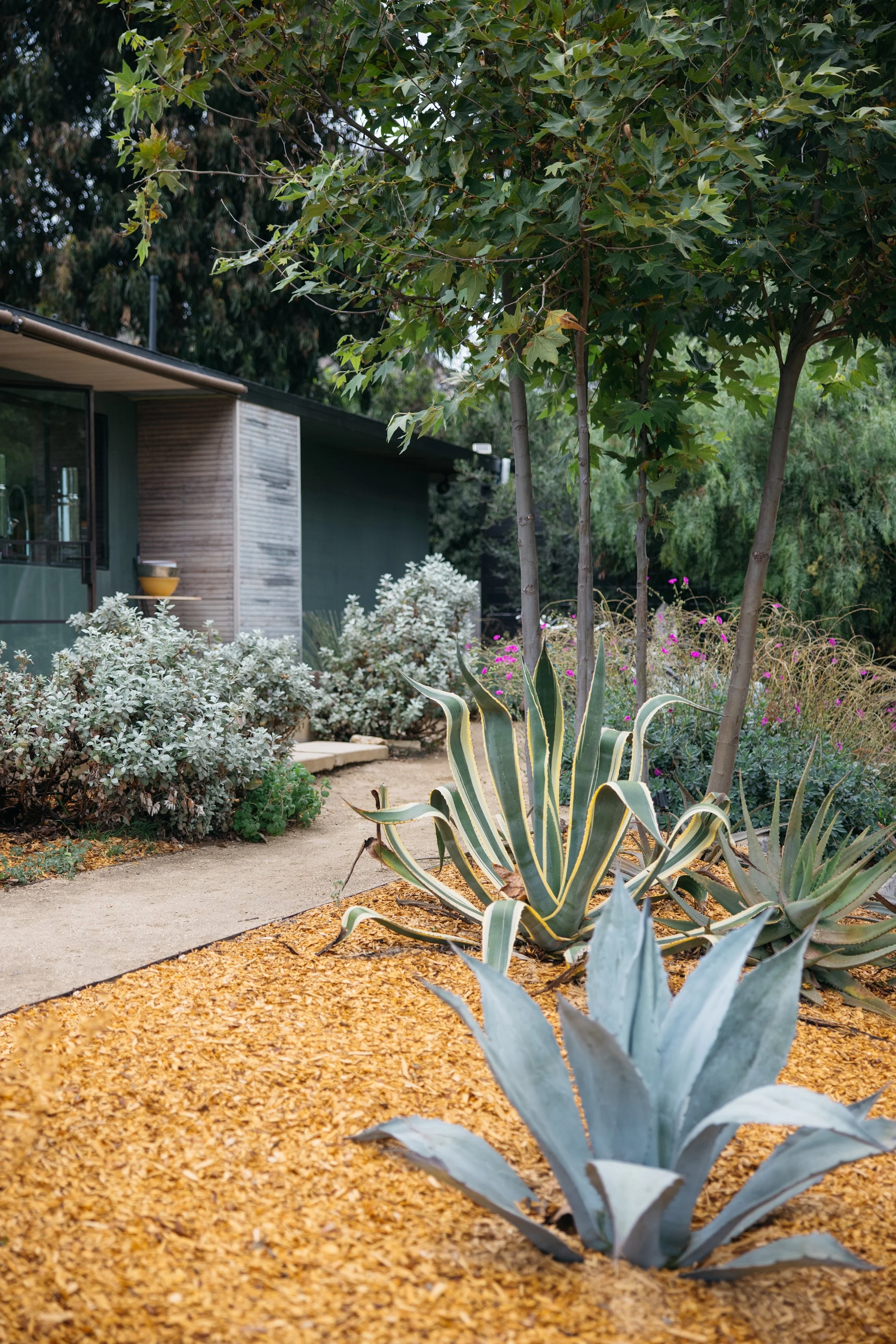 R5X_0090-1 拷贝.jpeg