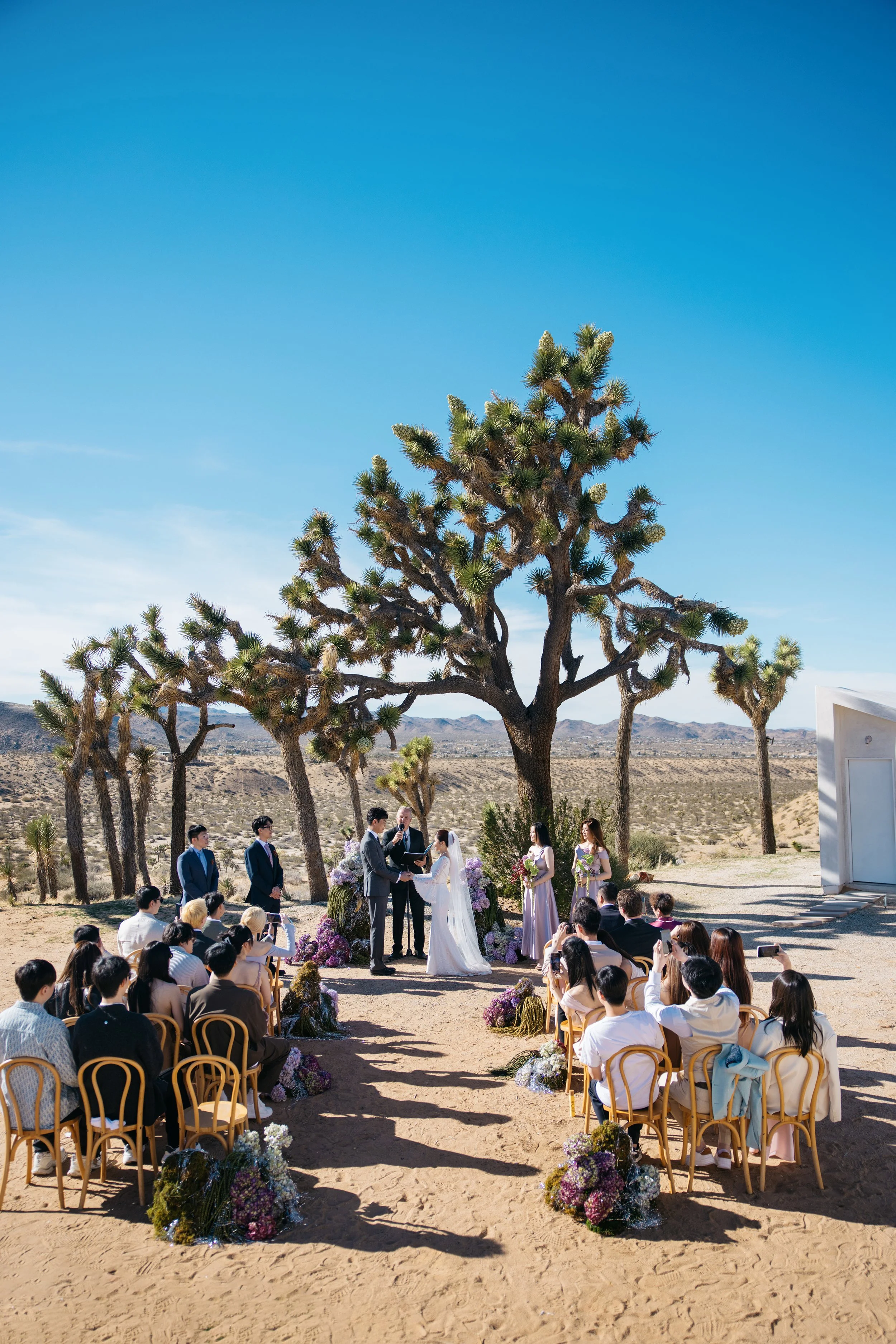 R52_1639-1 拷贝.jpg