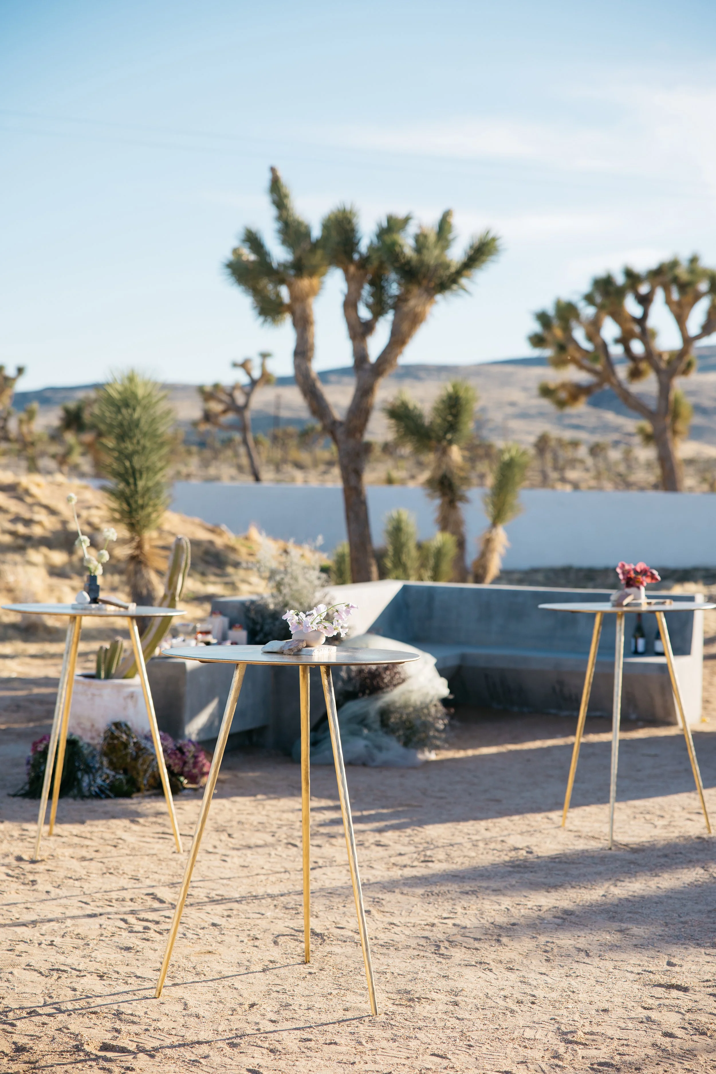 R52_3157-1 拷贝.jpg