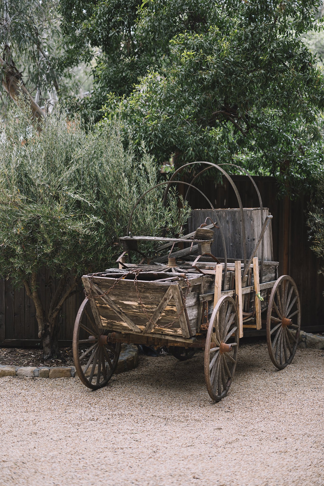 J5E_0079-1 拷贝.jpg